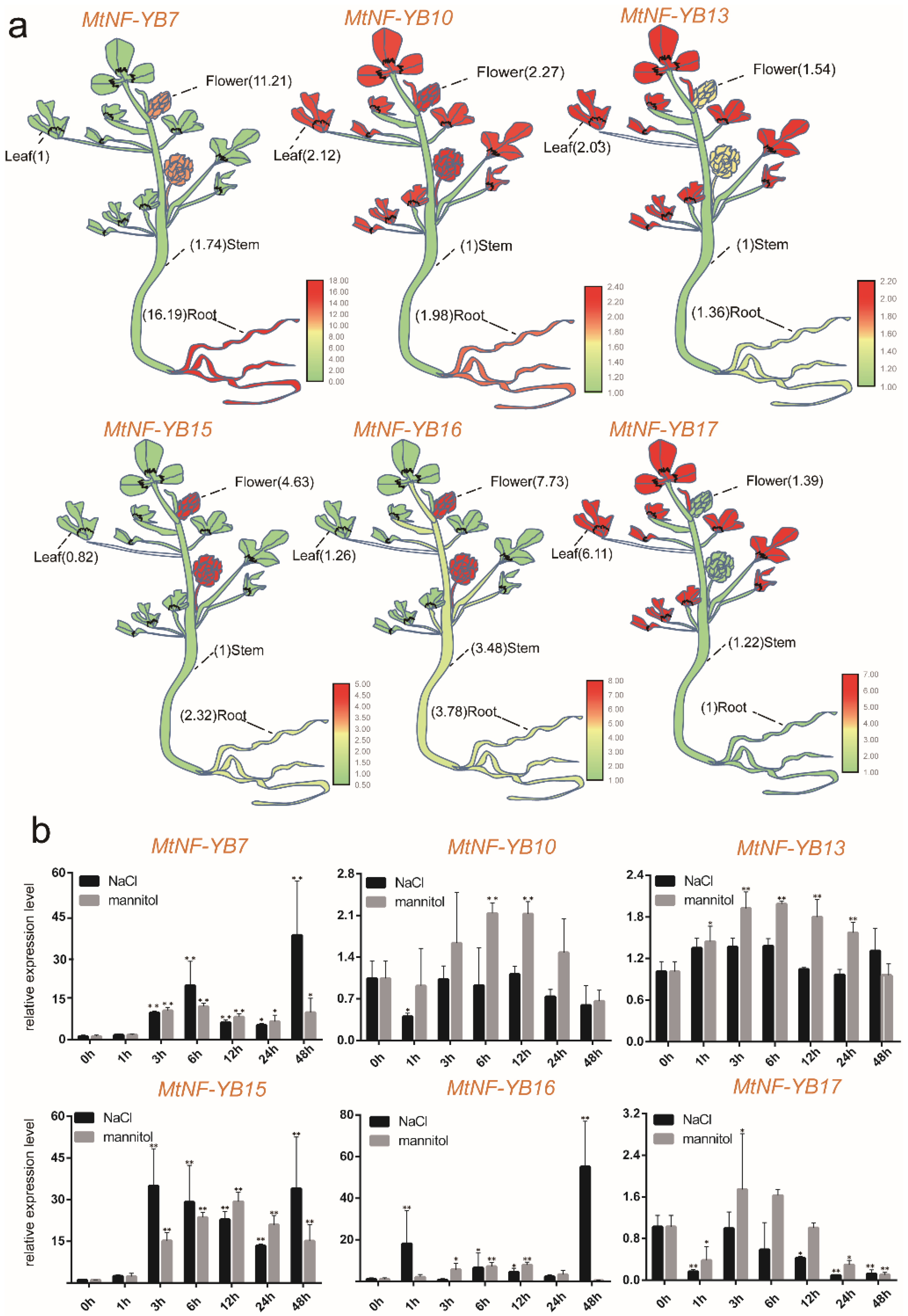 Ijms 23 06906 g008 Ijms 23 06906 g008