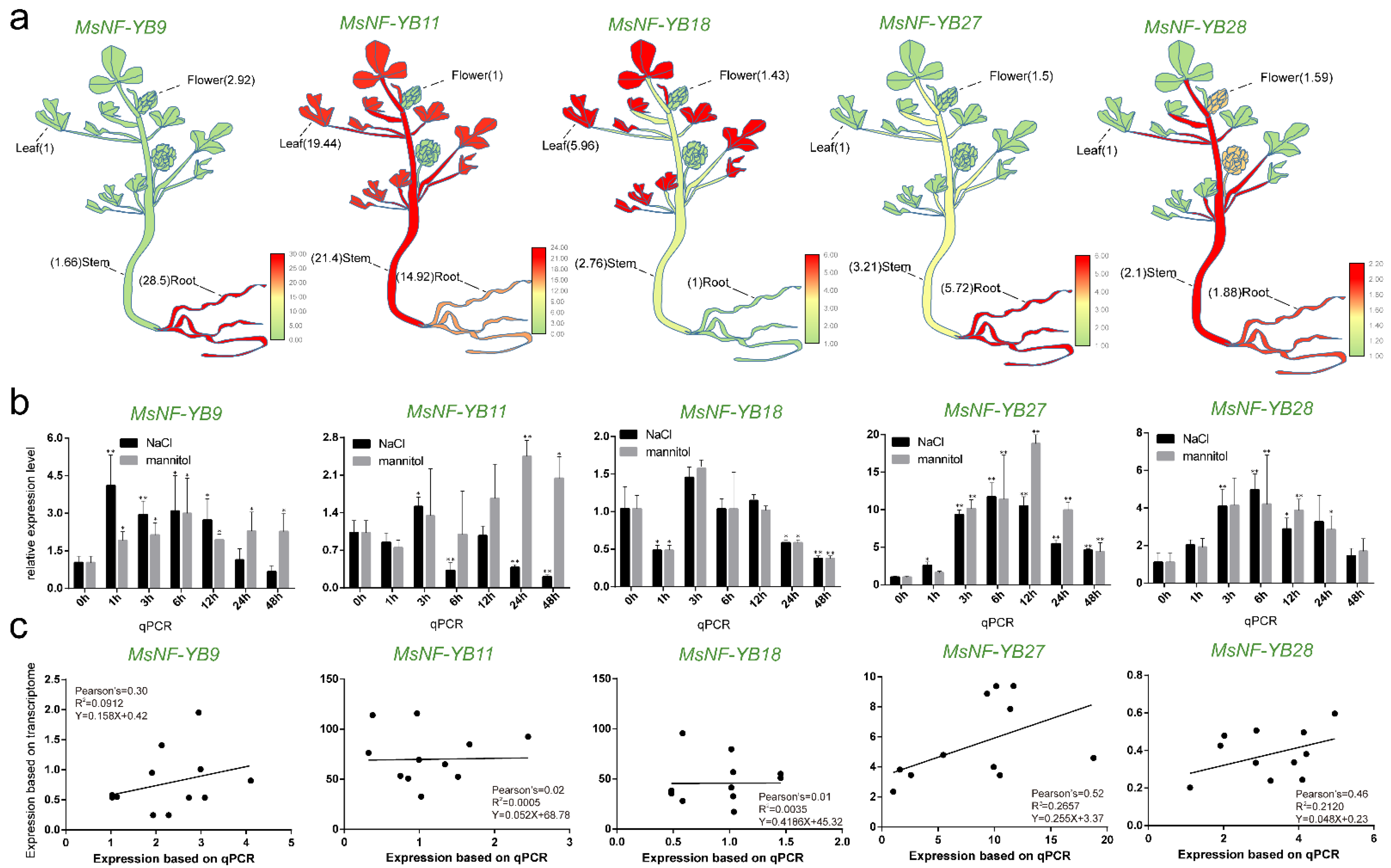 Ijms 23 06906 g009 Ijms 23 06906 g009