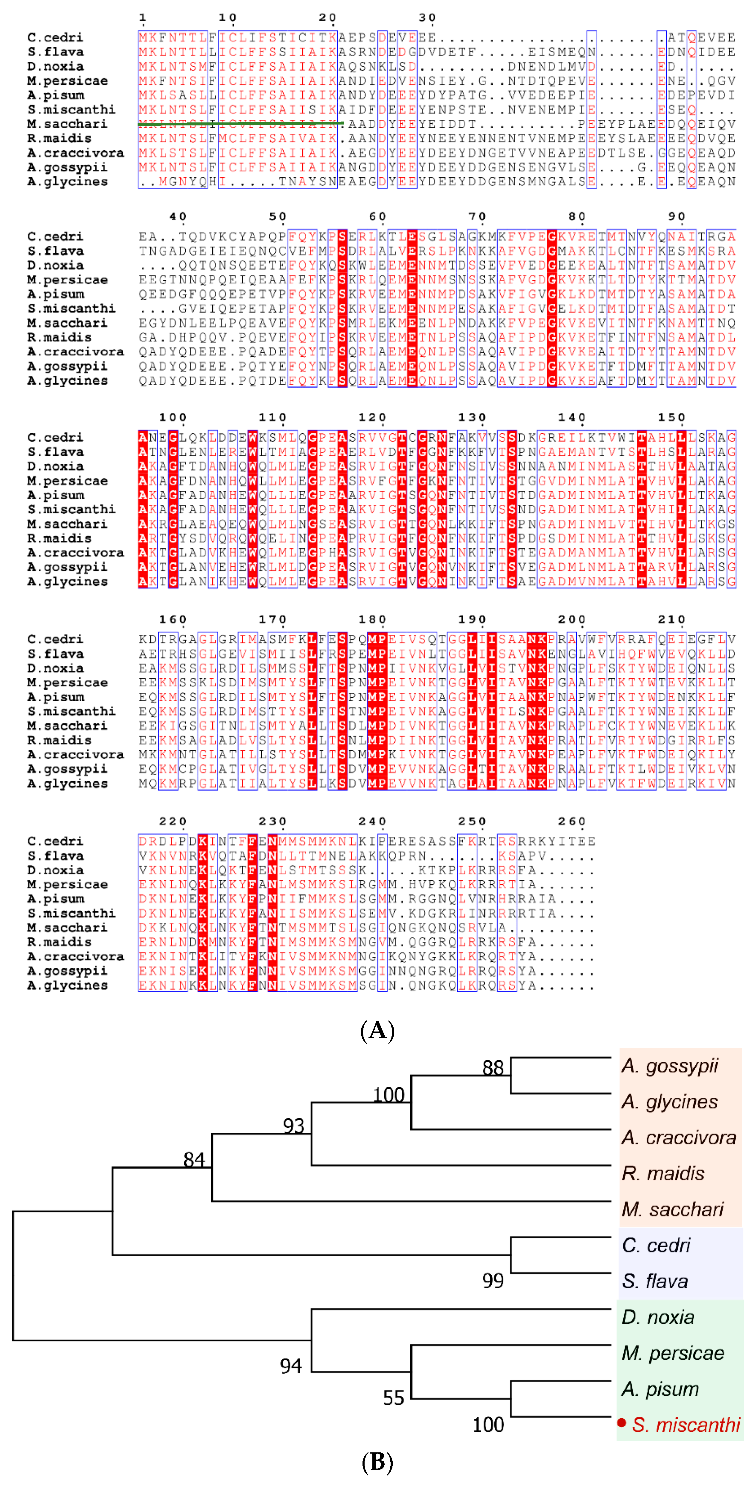 Ijms 23 06909 g001 550