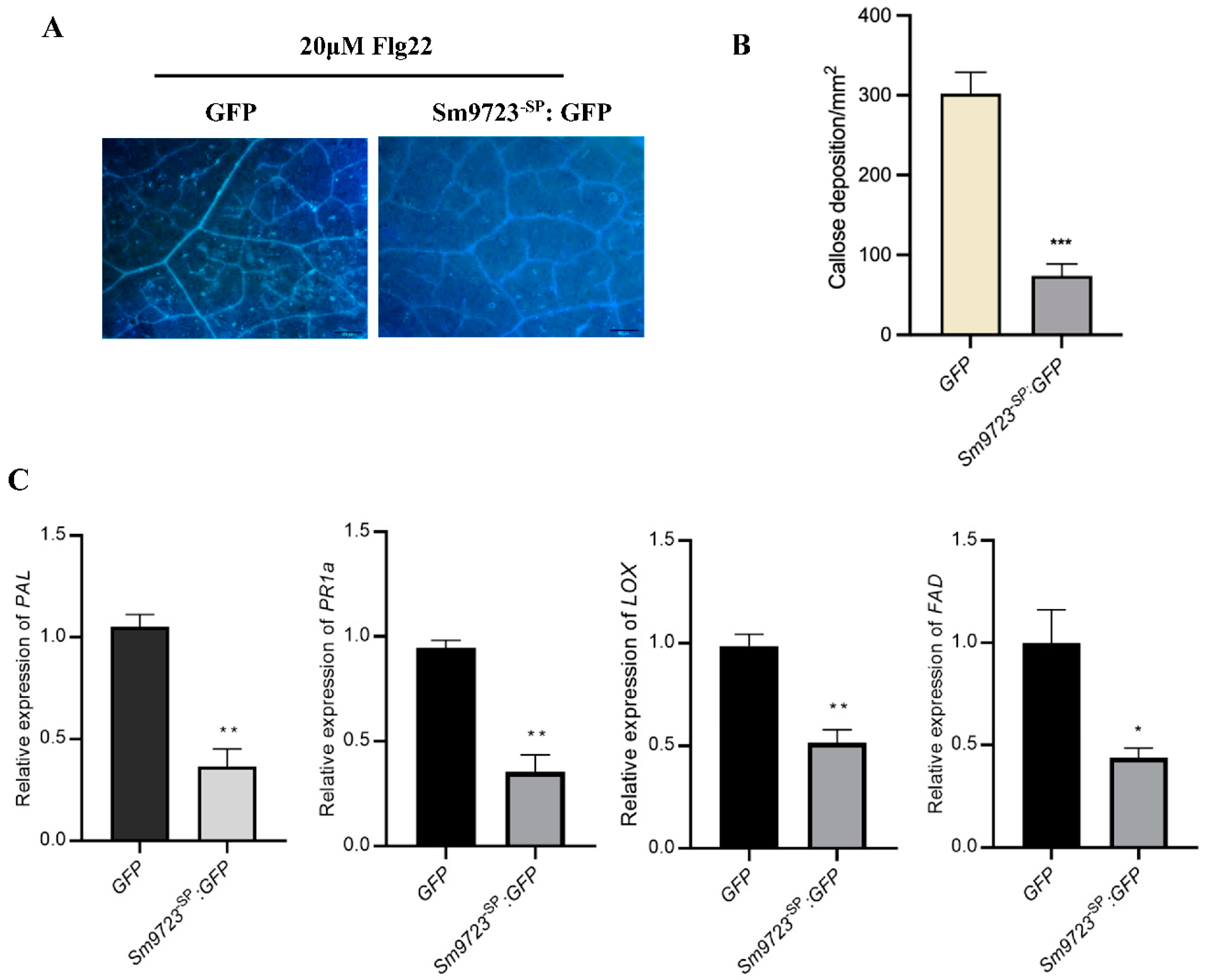 Ijms 23 06909 g005 550