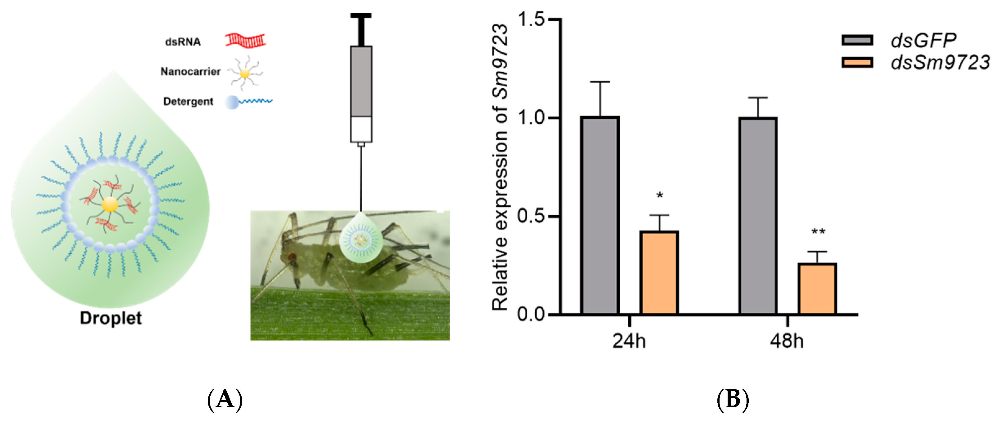 Ijms 23 06909 g006 550