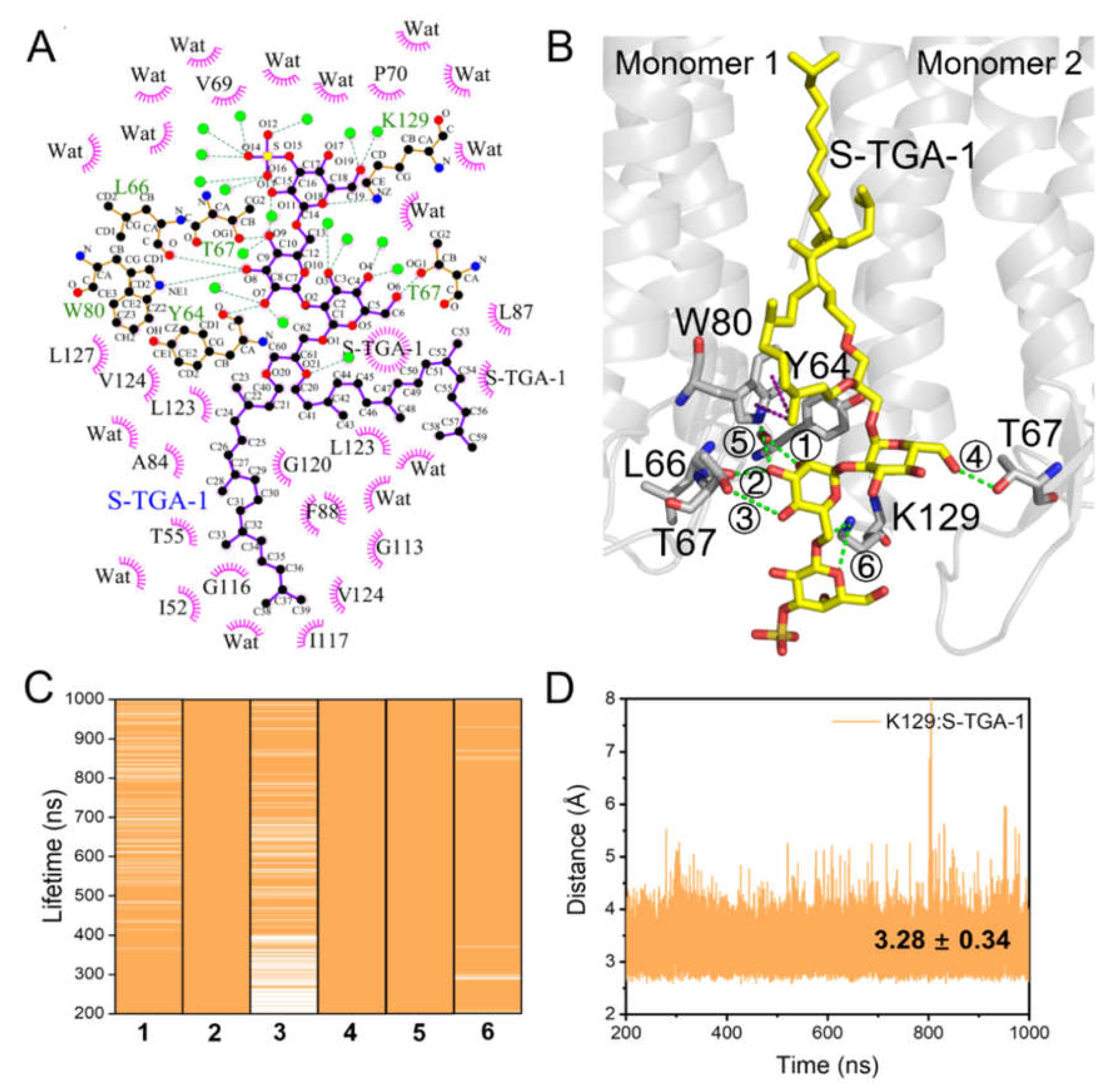 Ijms 23 06913 g003 Ijms 23 06913 g003