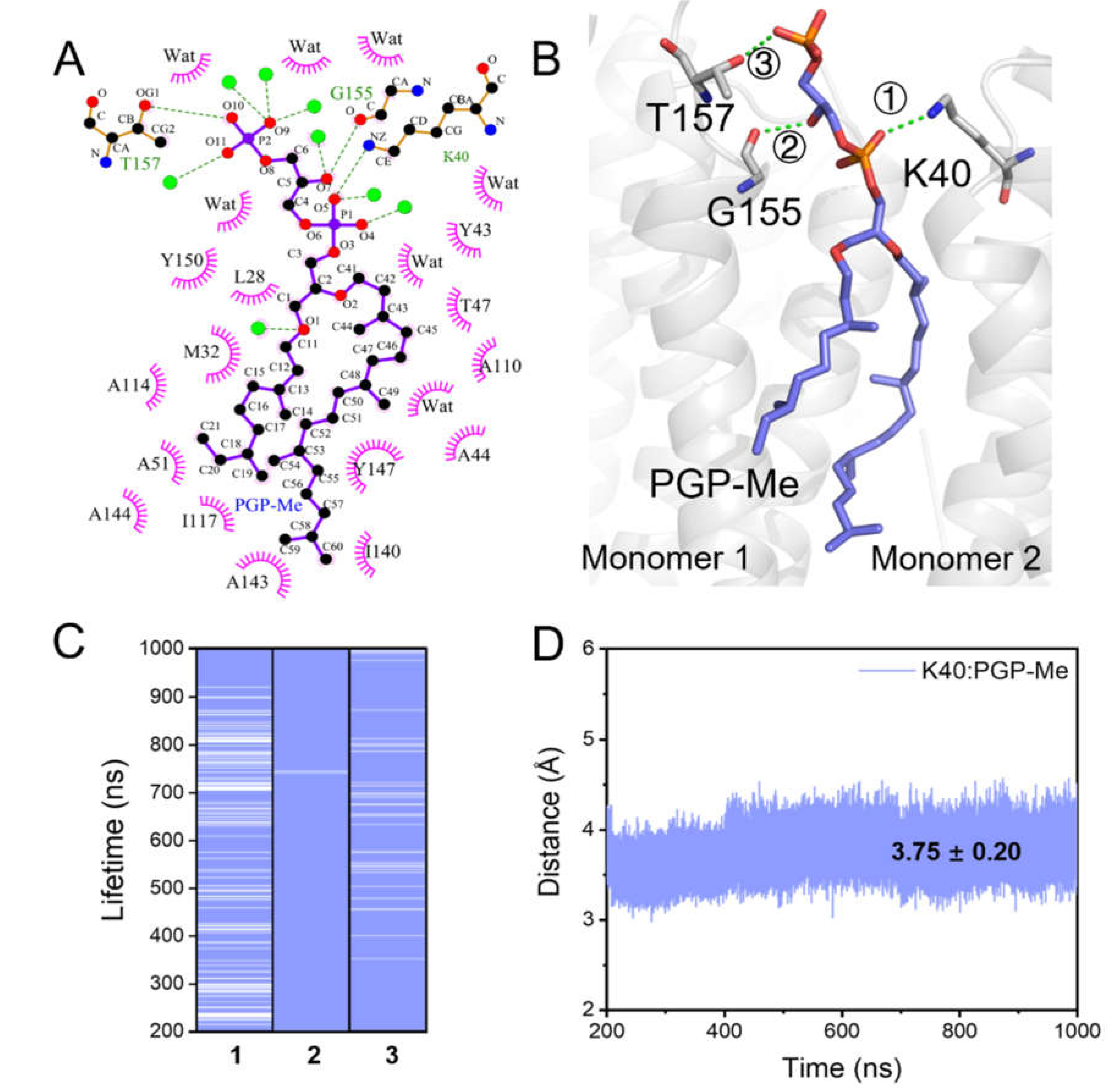 Ijms 23 06913 g004 Ijms 23 06913 g004