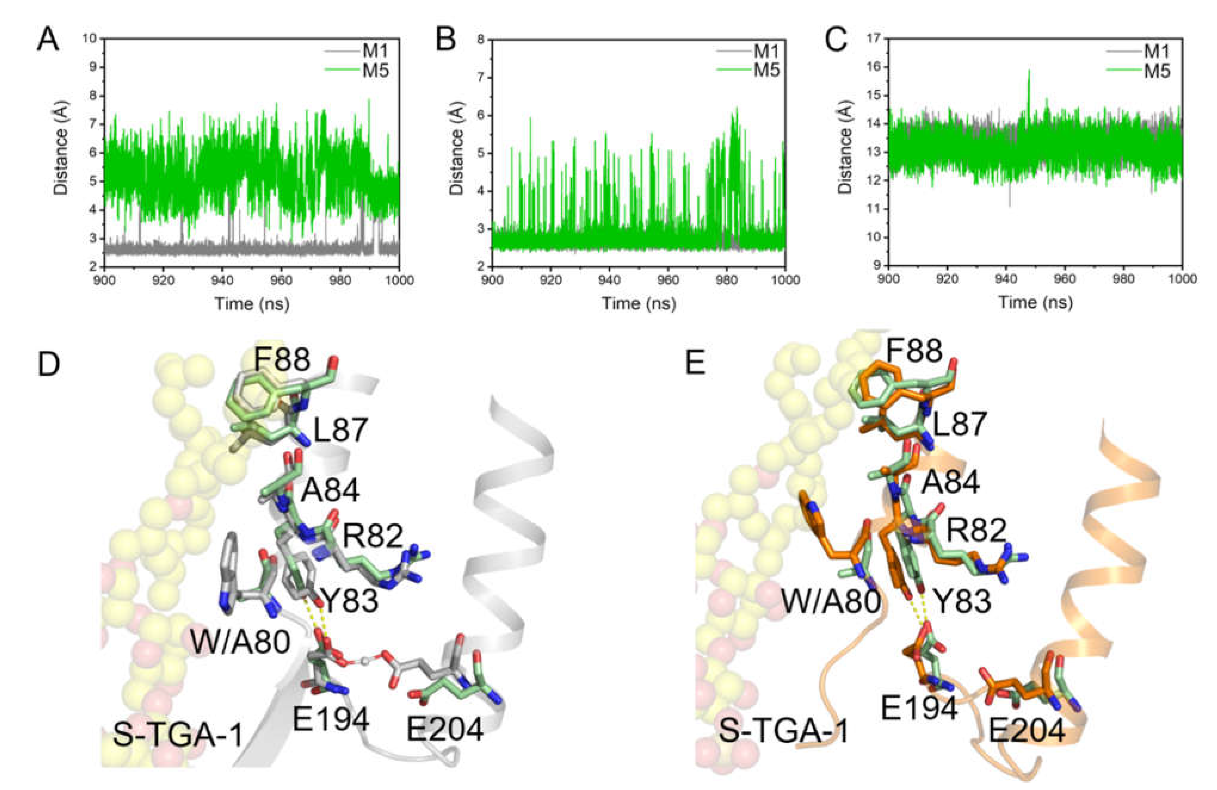 Ijms 23 06913 g007 Ijms 23 06913 g007