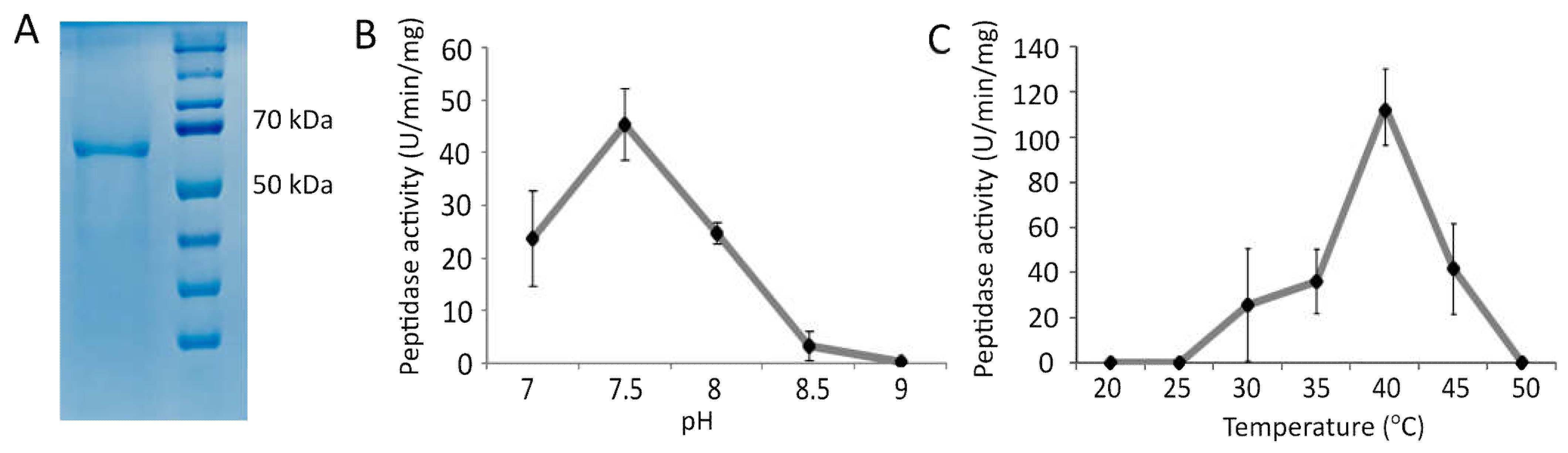 Ijms 23 06914 g003 Ijms 23 06914 g003