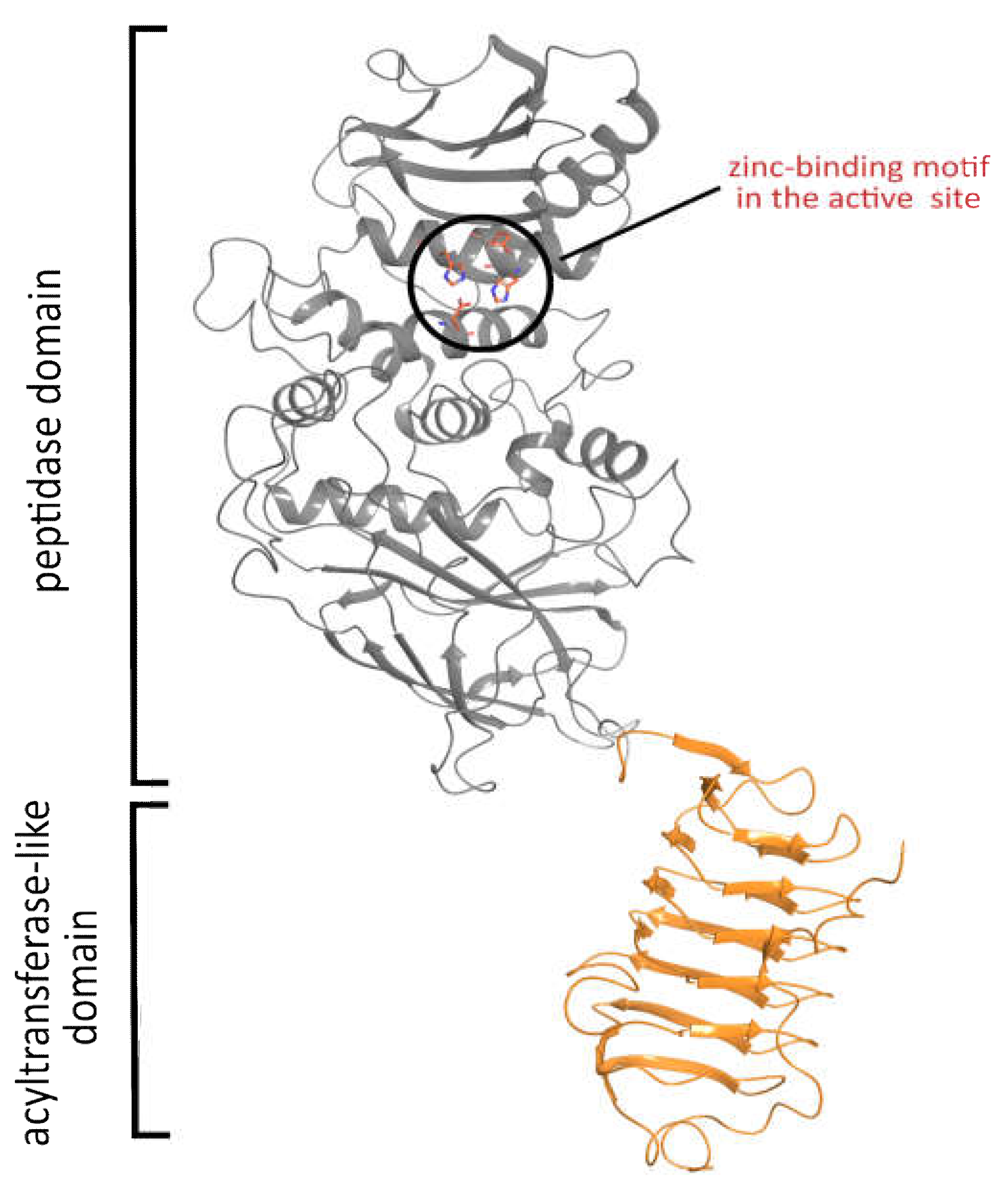 Ijms 23 06914 g006 Ijms 23 06914 g006