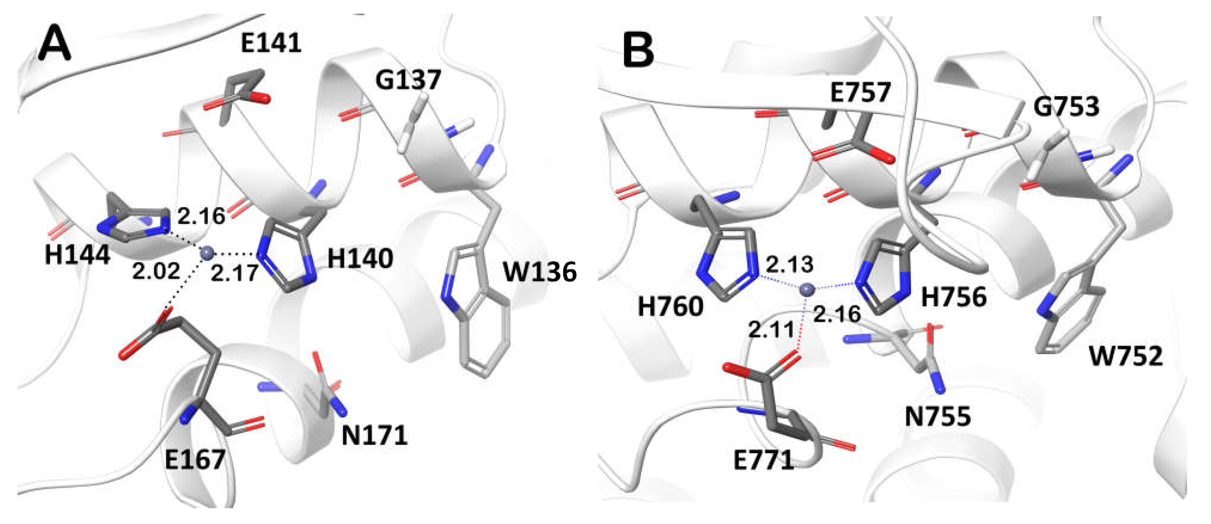 Ijms 23 06914 g007 Ijms 23 06914 g007