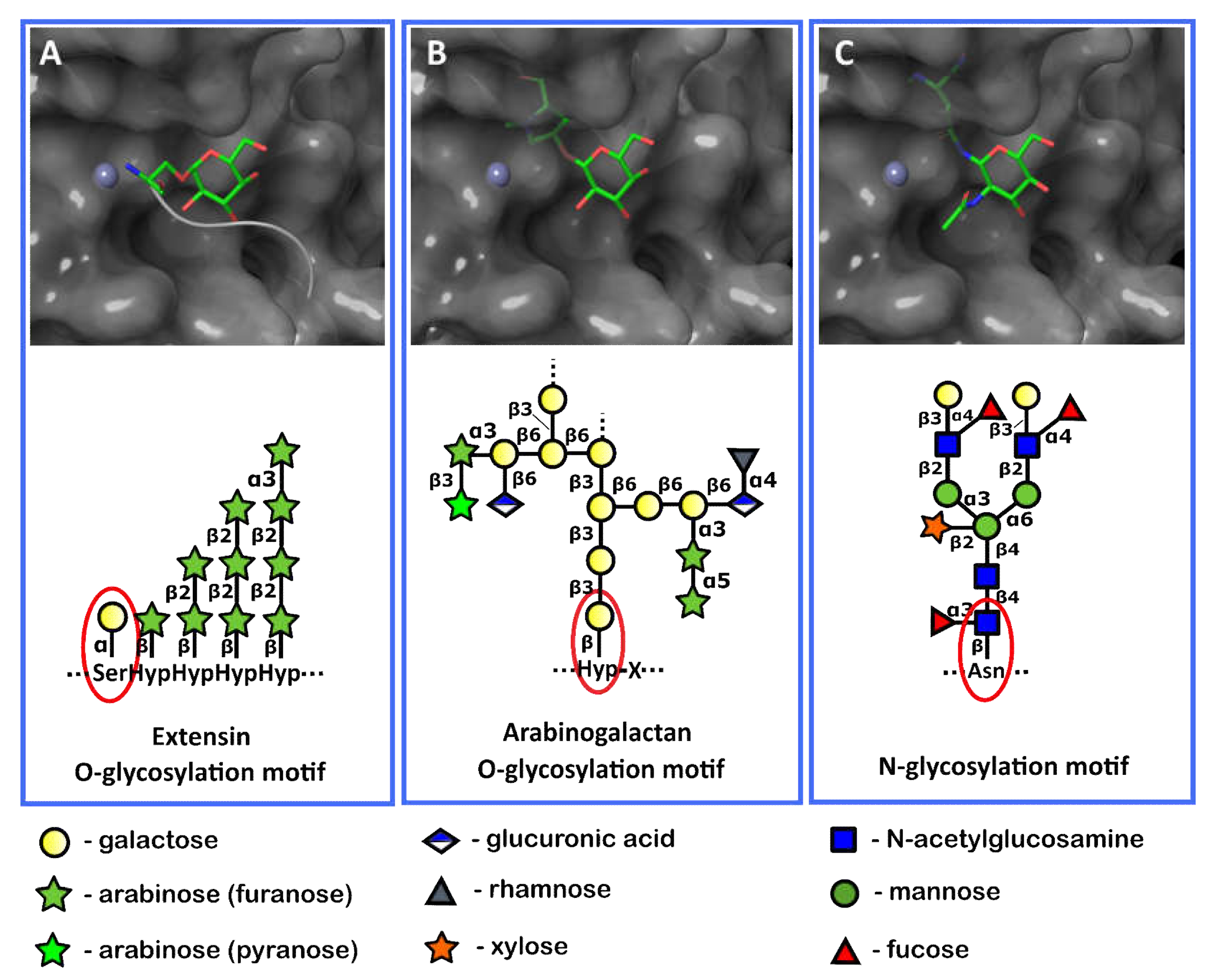 Ijms 23 06914 g009 Ijms 23 06914 g009