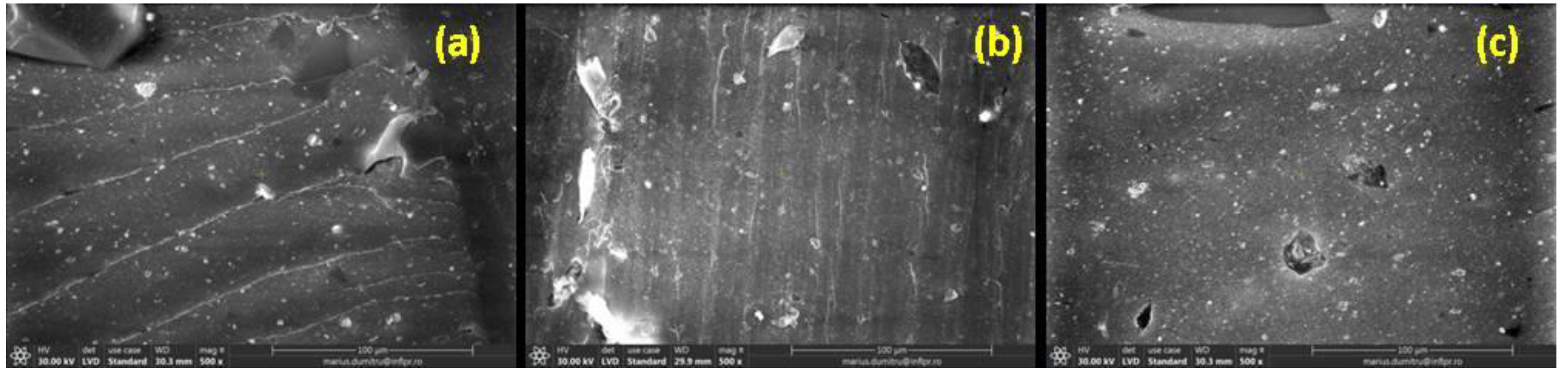 Ijms 23 06925 g007 Ijms 23 06925 g007