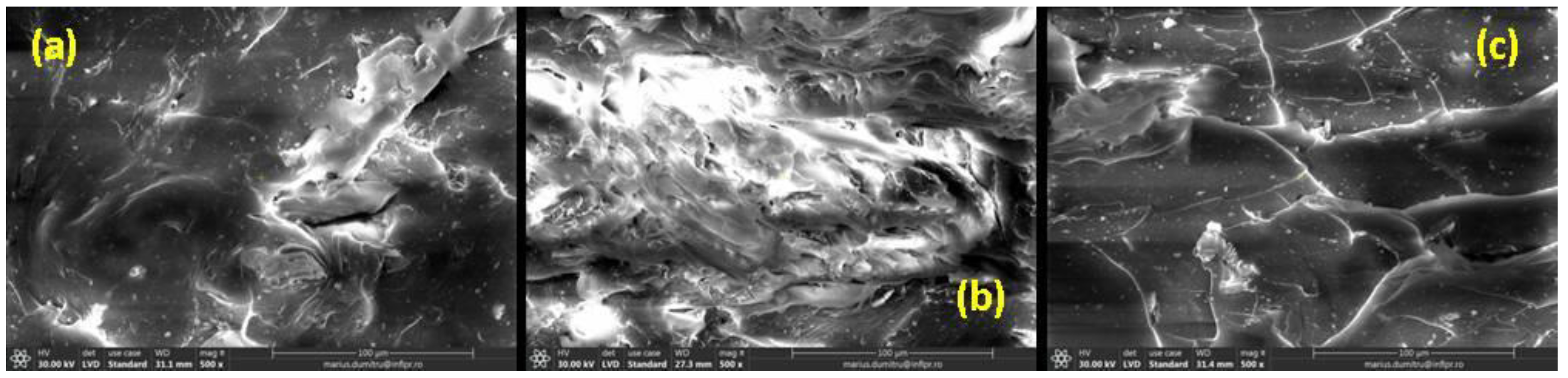 Ijms 23 06925 g009 Ijms 23 06925 g009