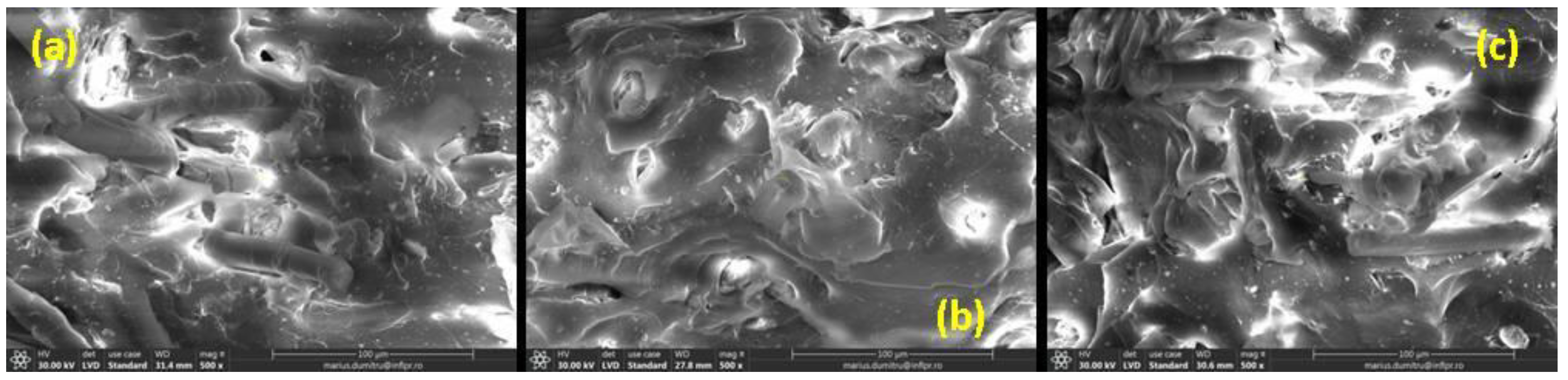 Ijms 23 06925 g010 Ijms 23 06925 g010