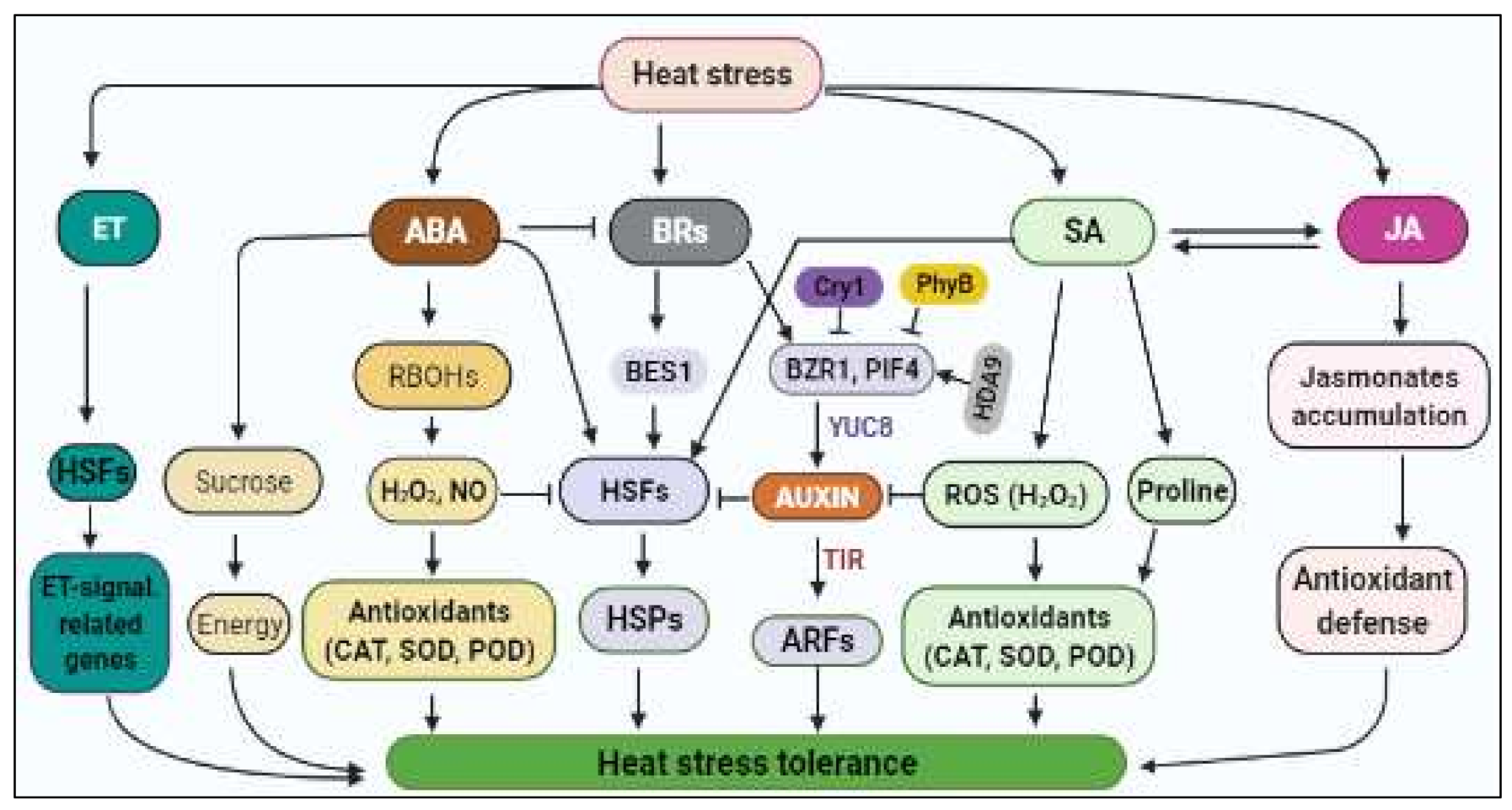 Ijms 23 06929 g002 Ijms 23 06929 g002