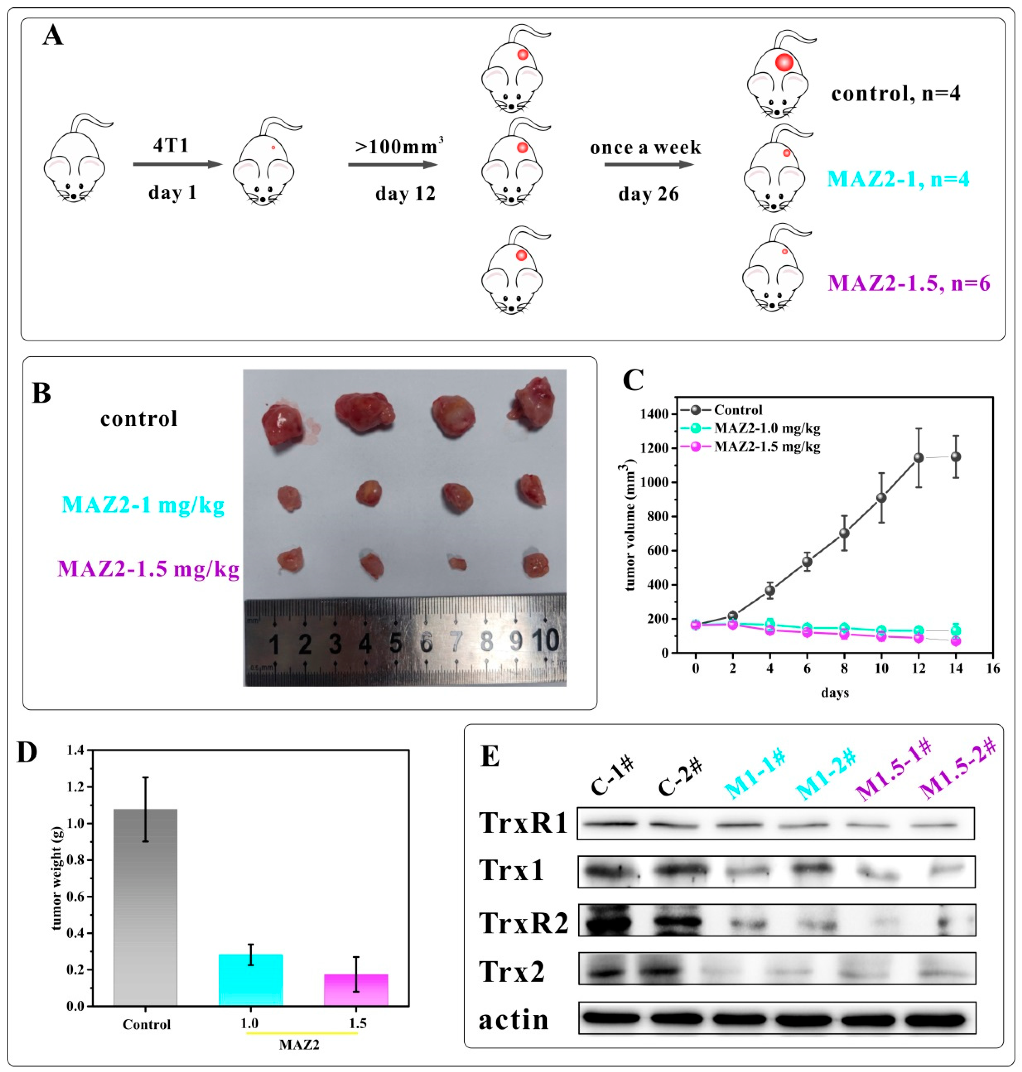 Ijms 23 06930 g004 550