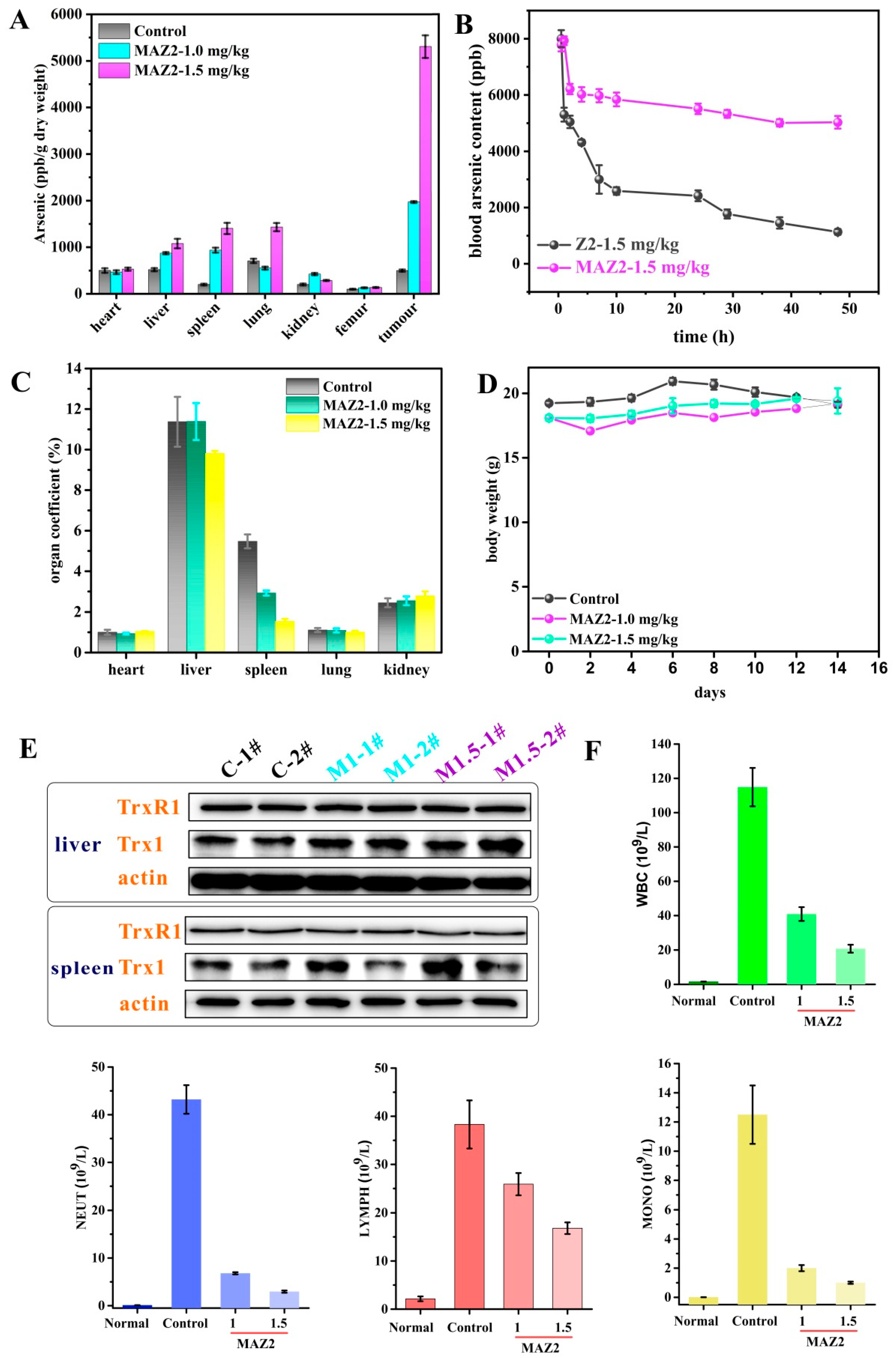 Ijms 23 06930 g006 550