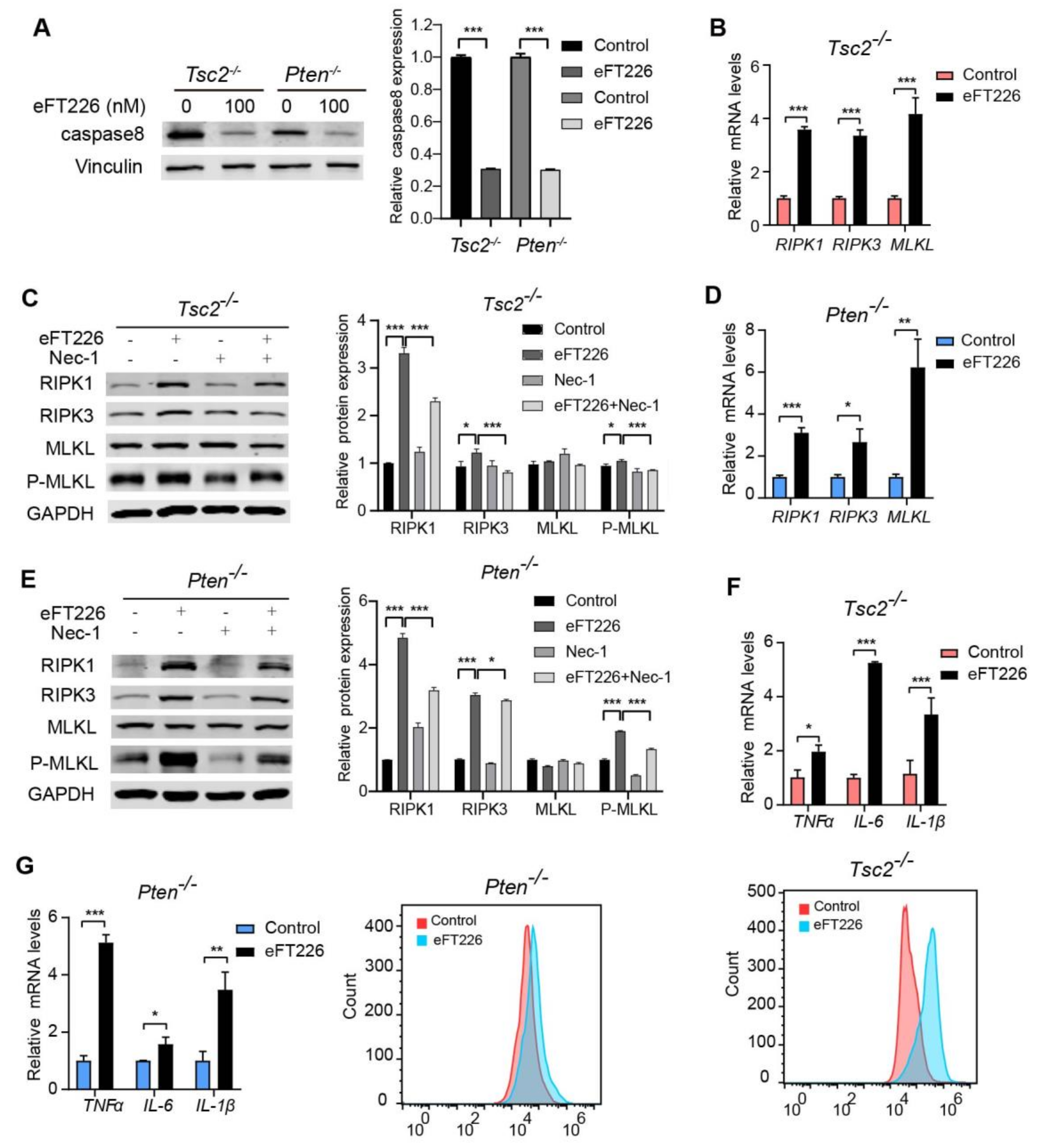 Ijms 23 06932 g004 550