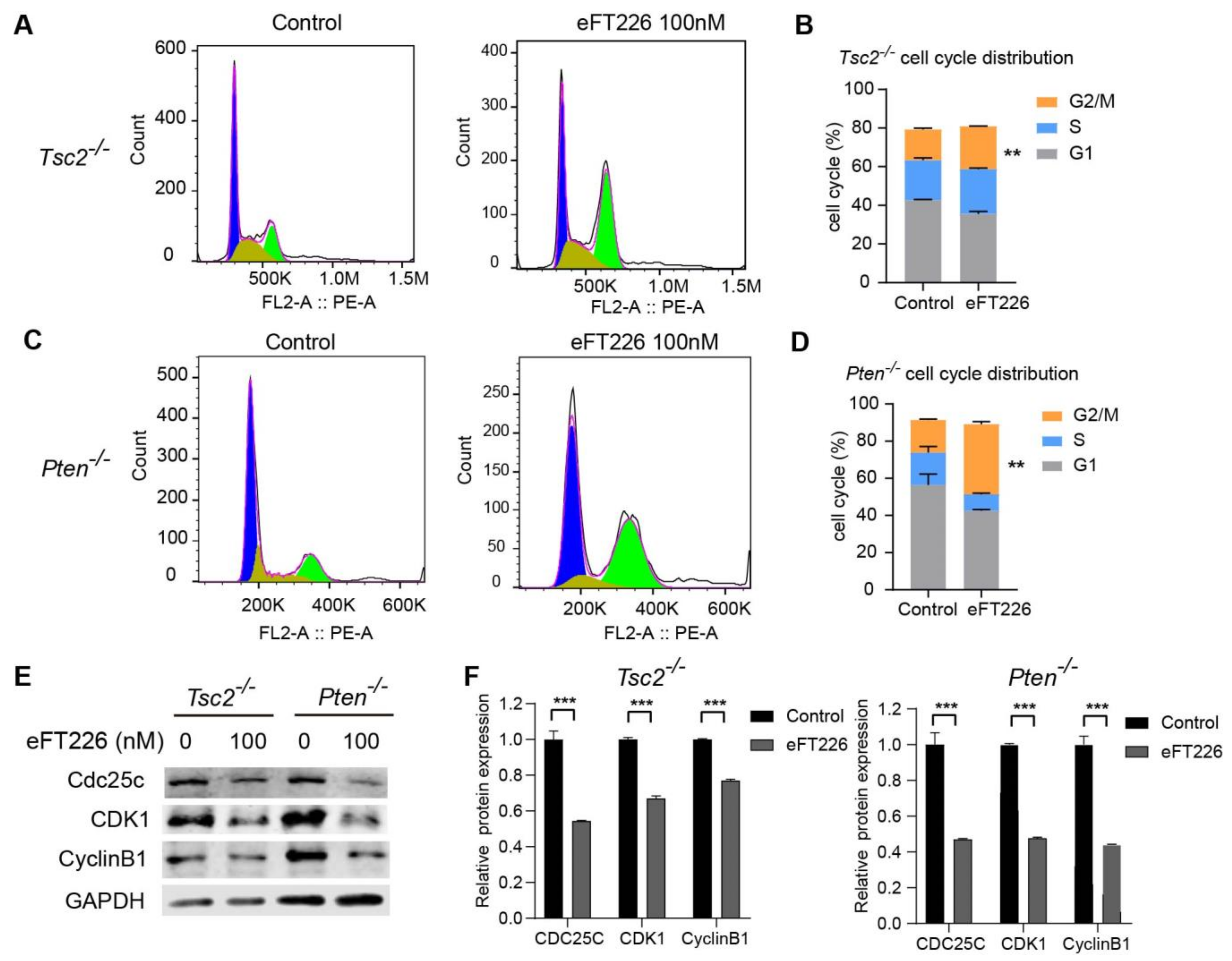 Ijms 23 06932 g006 550