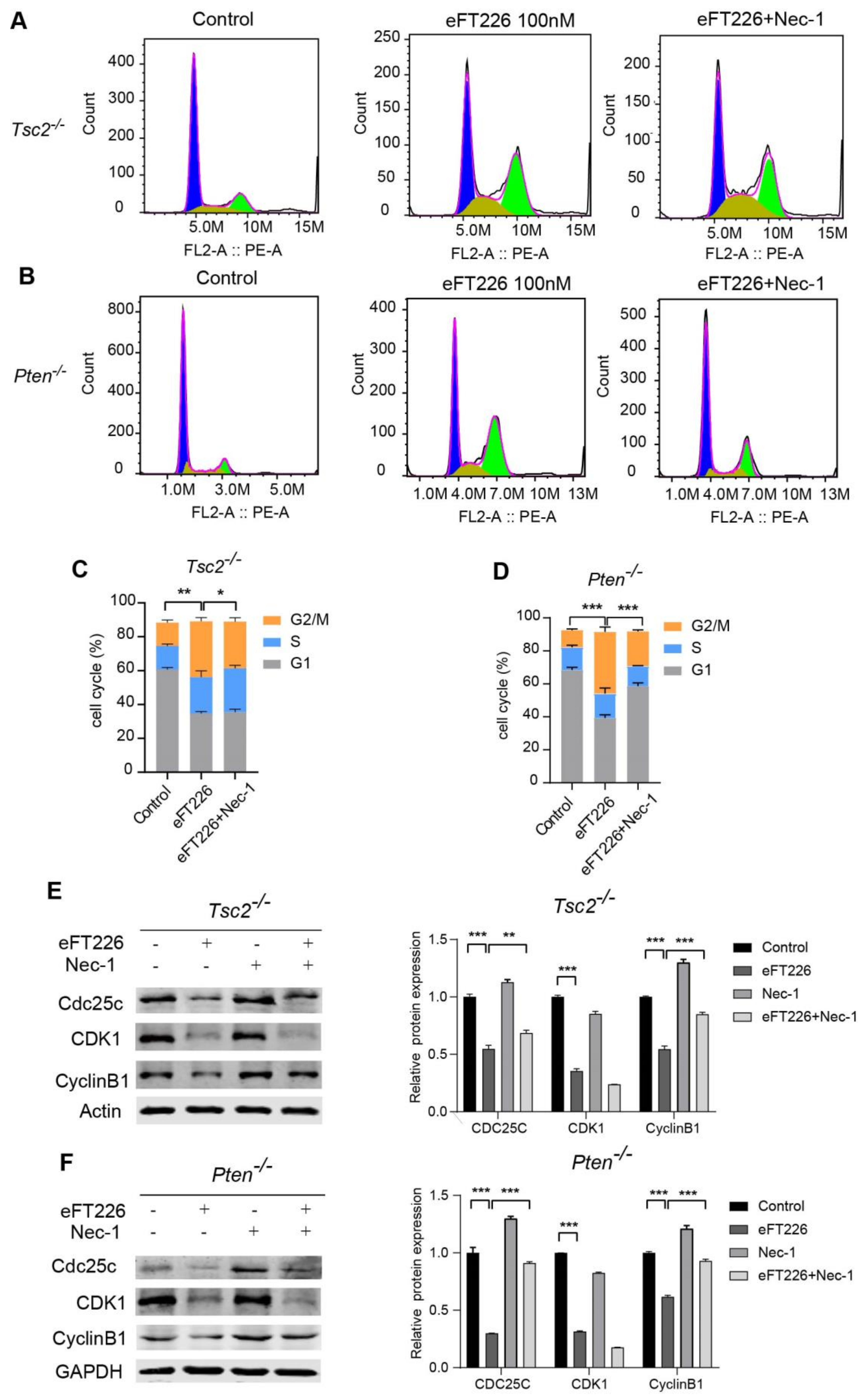 Ijms 23 06932 g007 550
