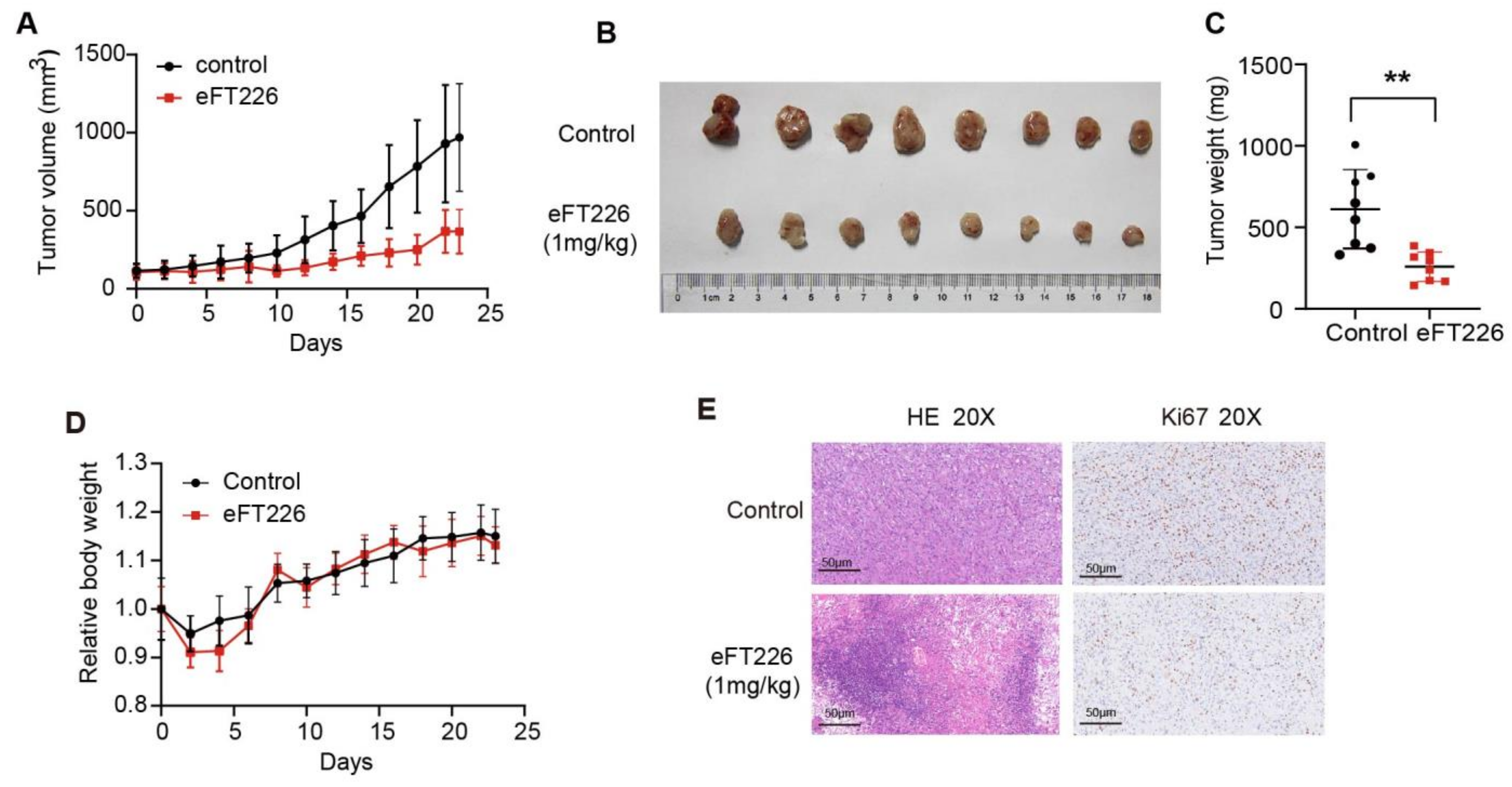 Ijms 23 06932 g008 550