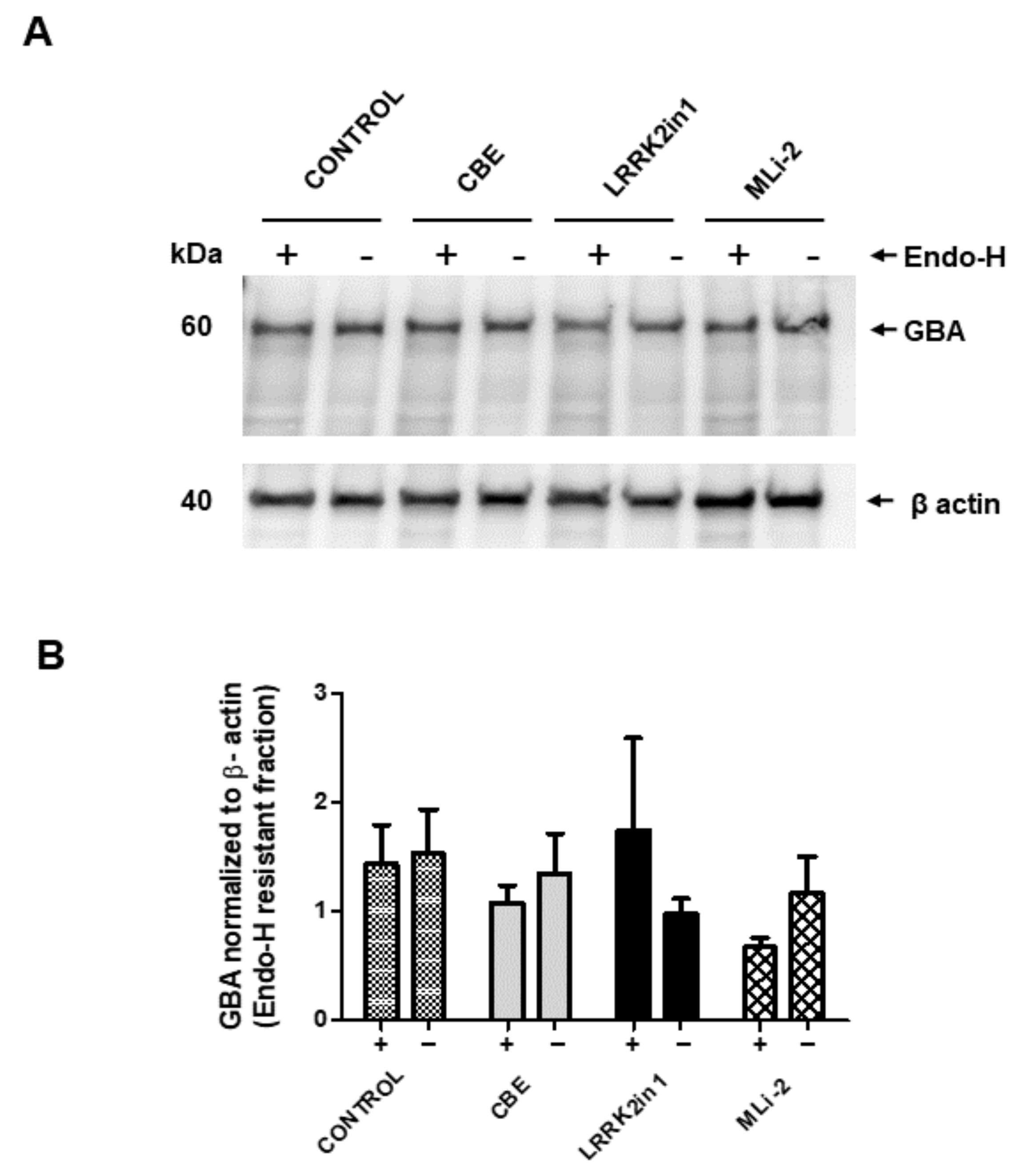 Ijms 23 06935 g004 550