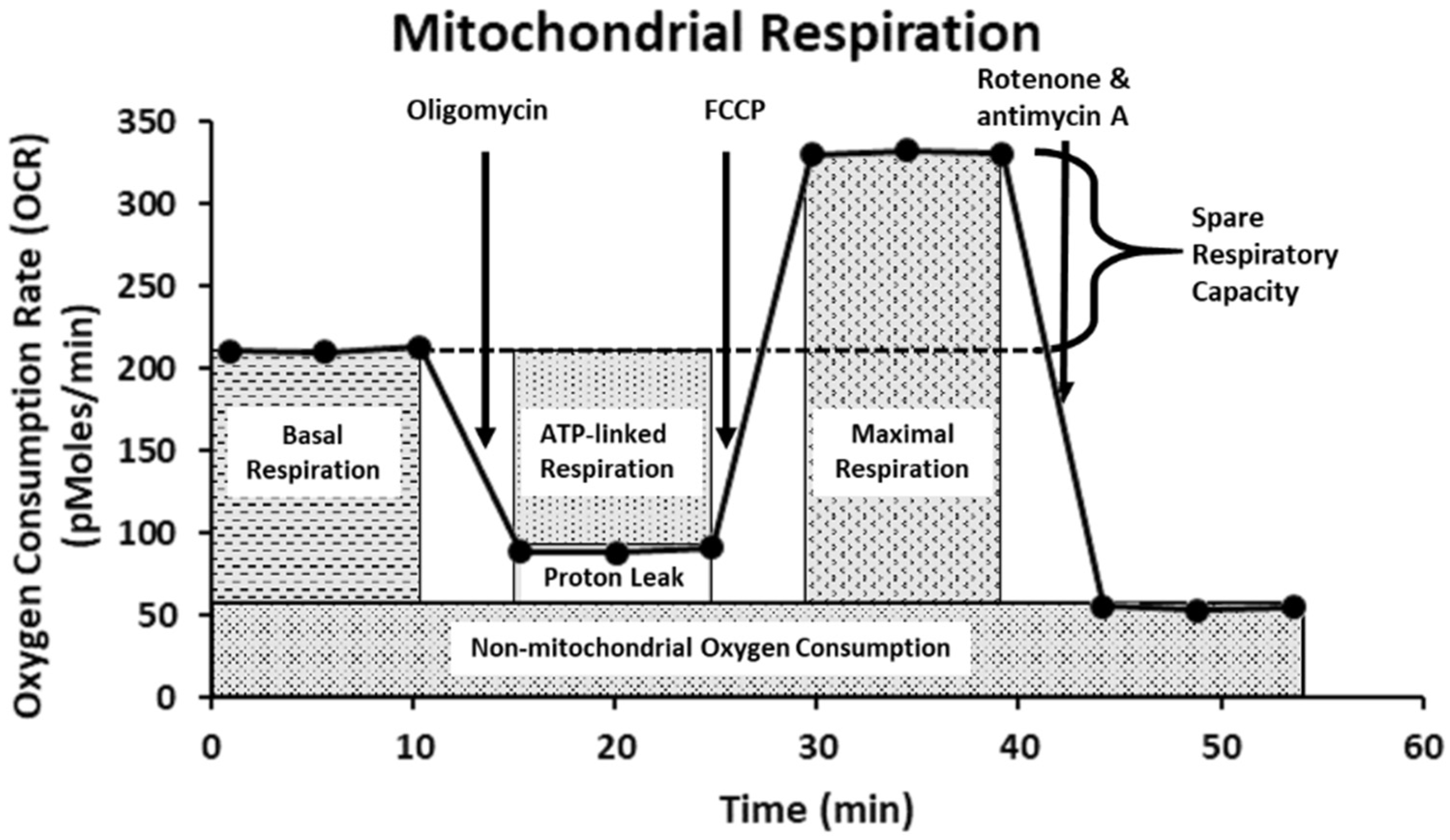 Ijms 23 06945 g008 550