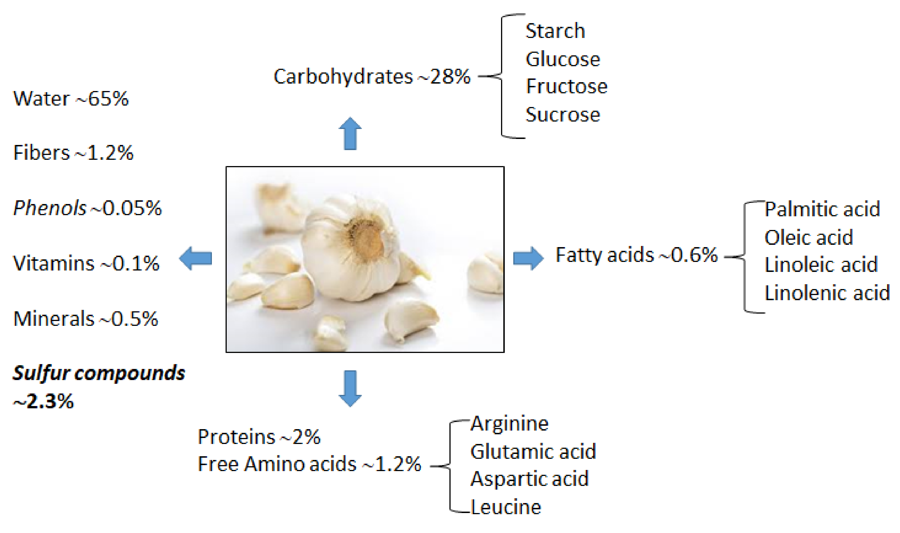 Aged Garlic Extract Vs Raw Garlic IJMS | Free Full-Text | Therapeutic Potential of Allicin and Aged