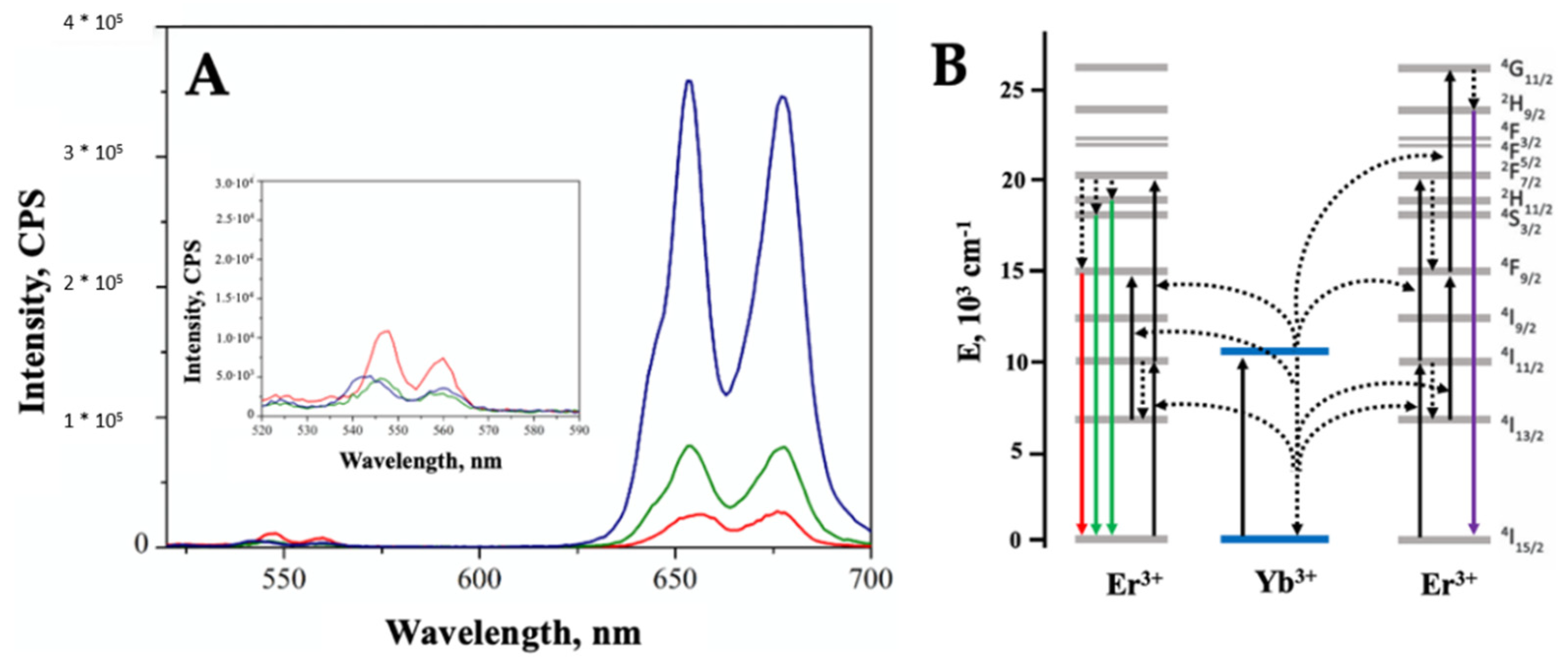 Ijms 23 06951 g004 550
