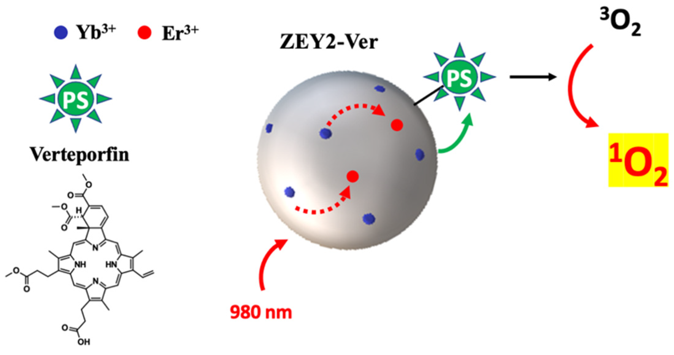 Ijms 23 06951 g010 550