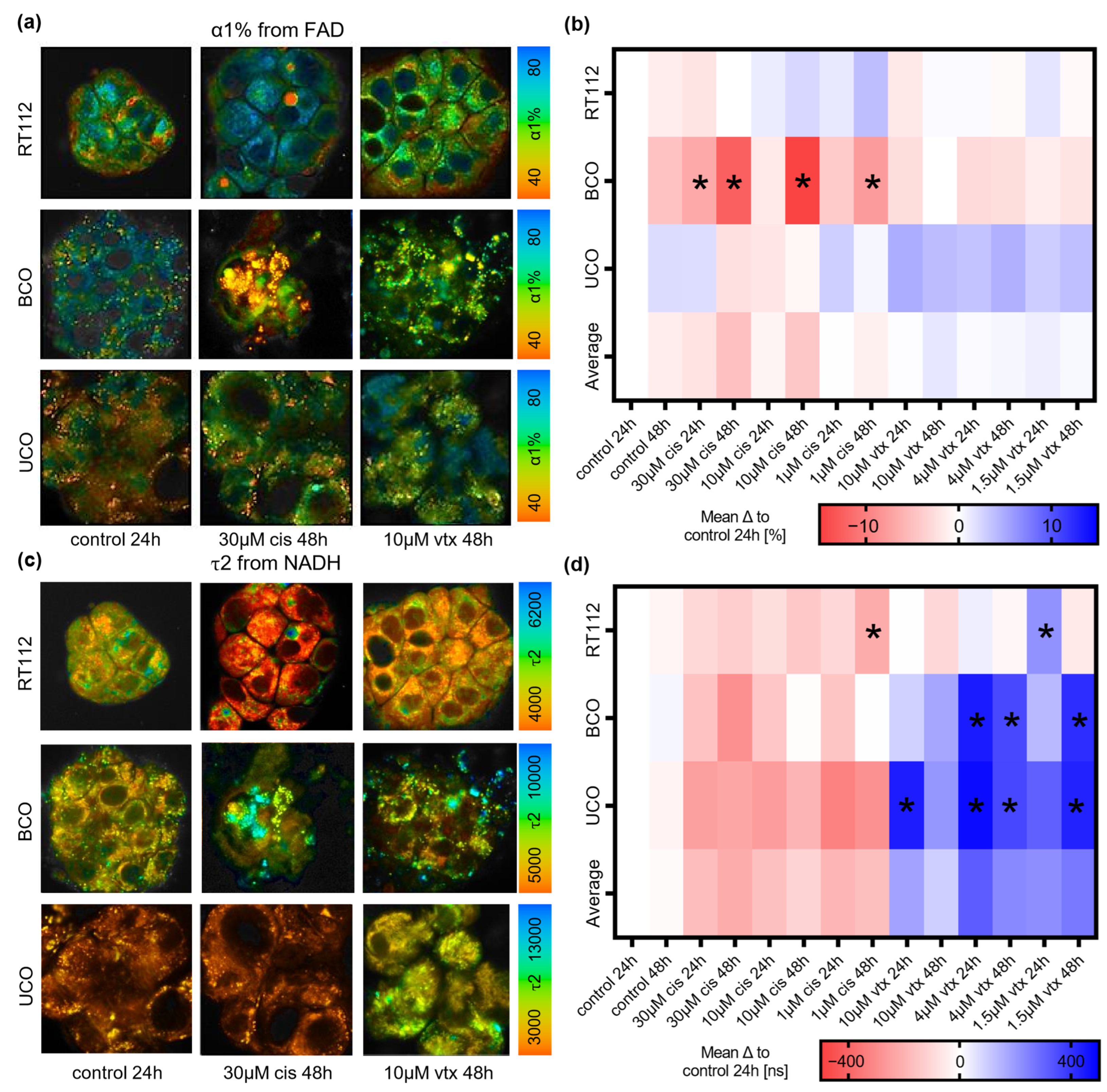 Ijms 23 06956 g006 Ijms 23 06956 g006