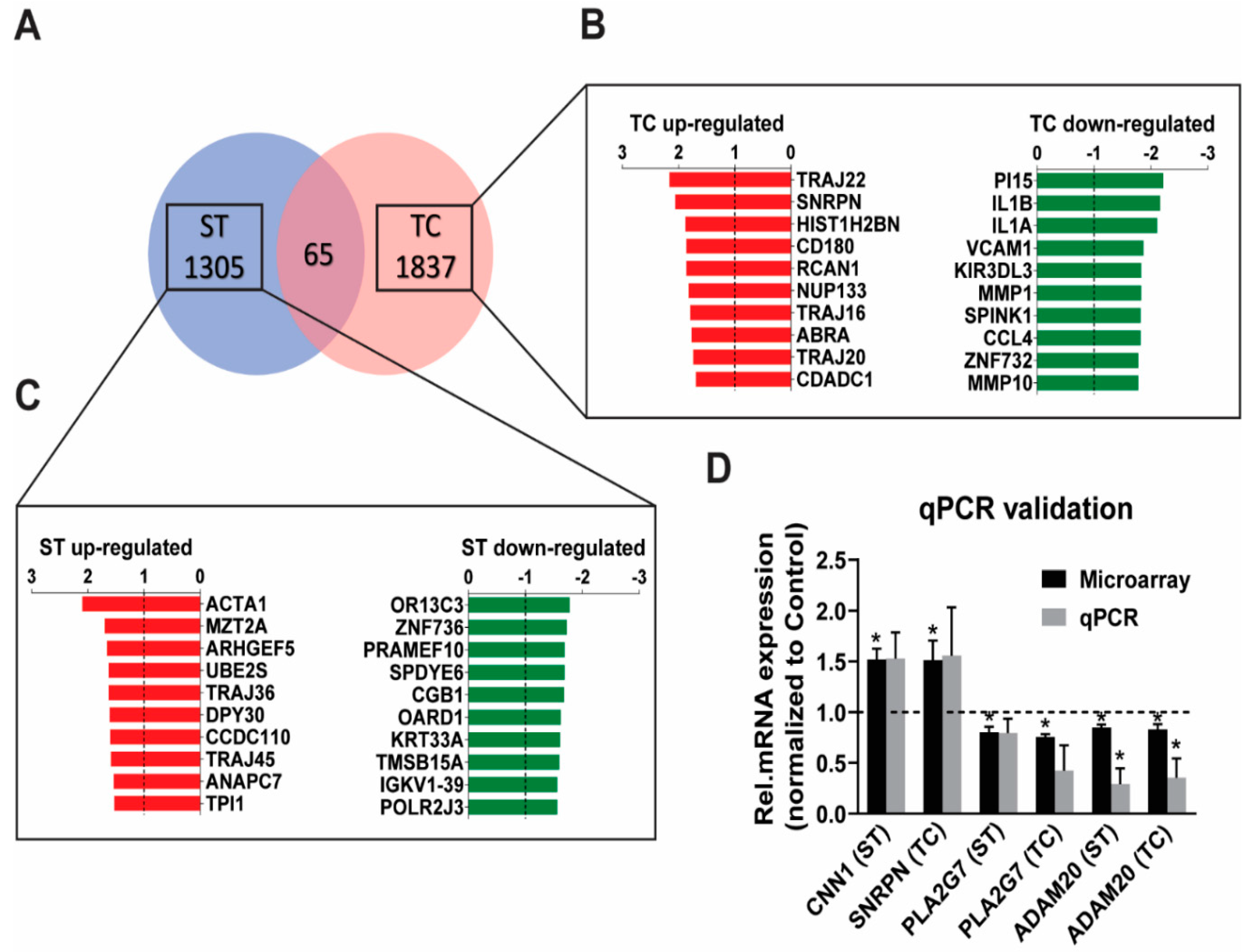 Ijms 23 06962 g001 Ijms 23 06962 g001