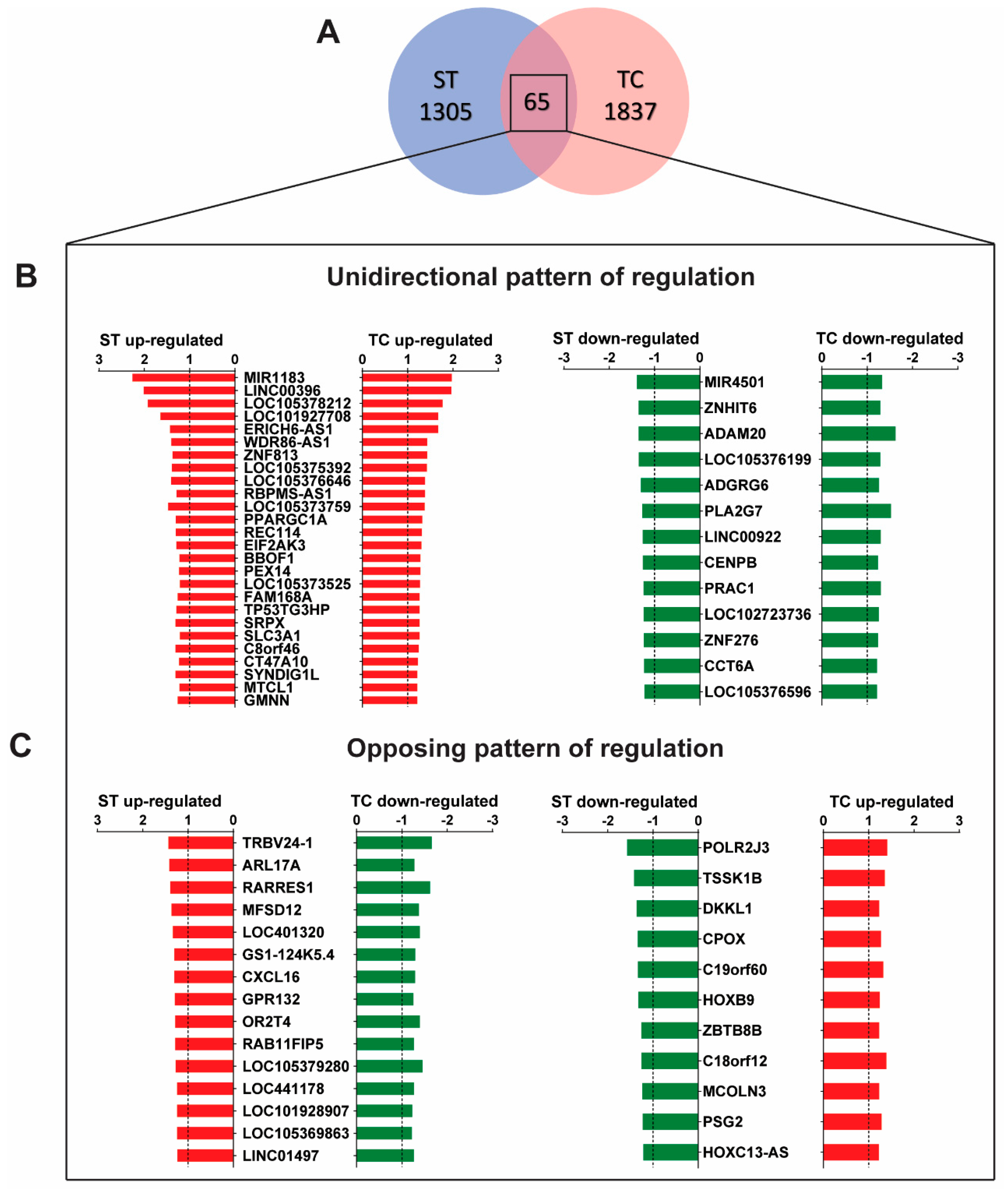 Ijms 23 06962 g002 Ijms 23 06962 g002