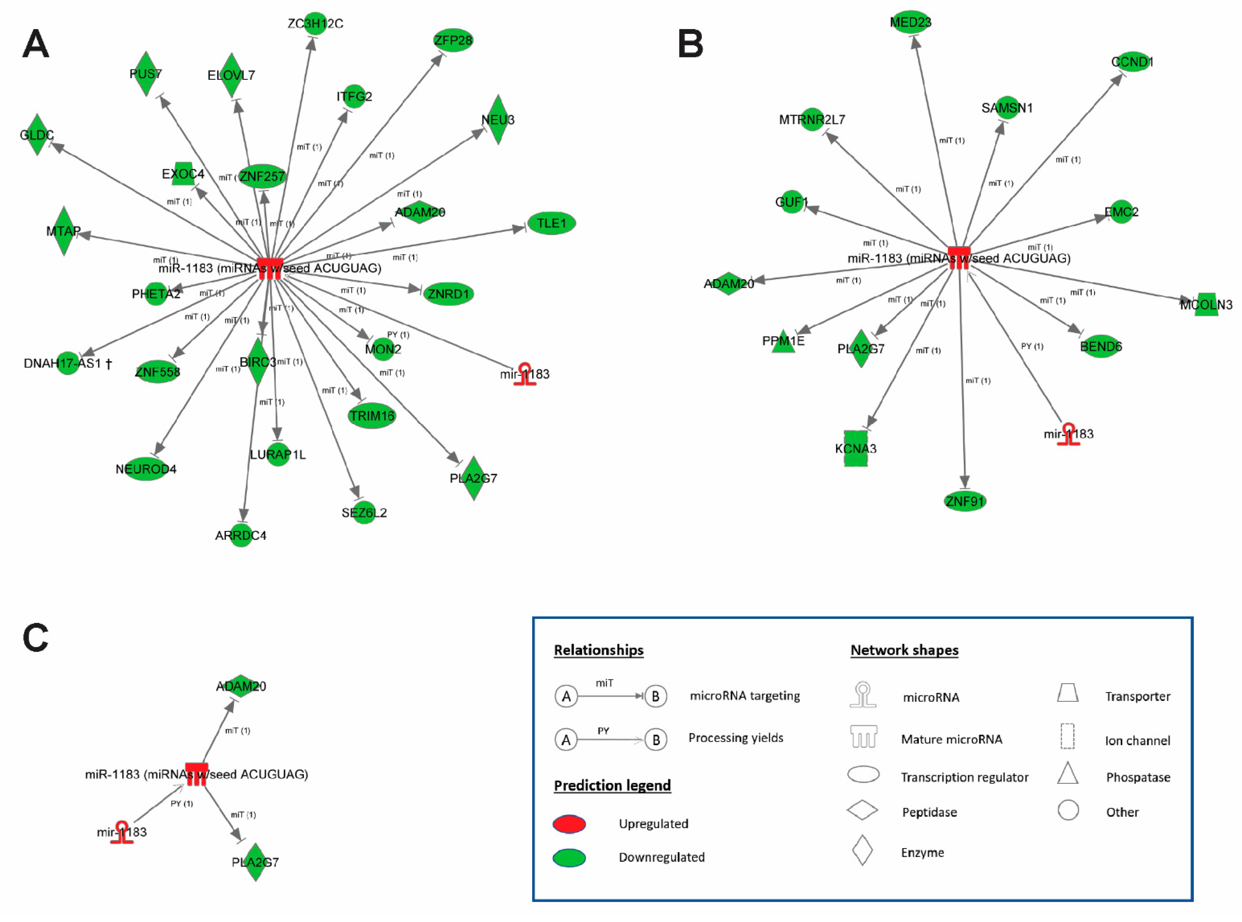 Ijms 23 06962 g005 Ijms 23 06962 g005