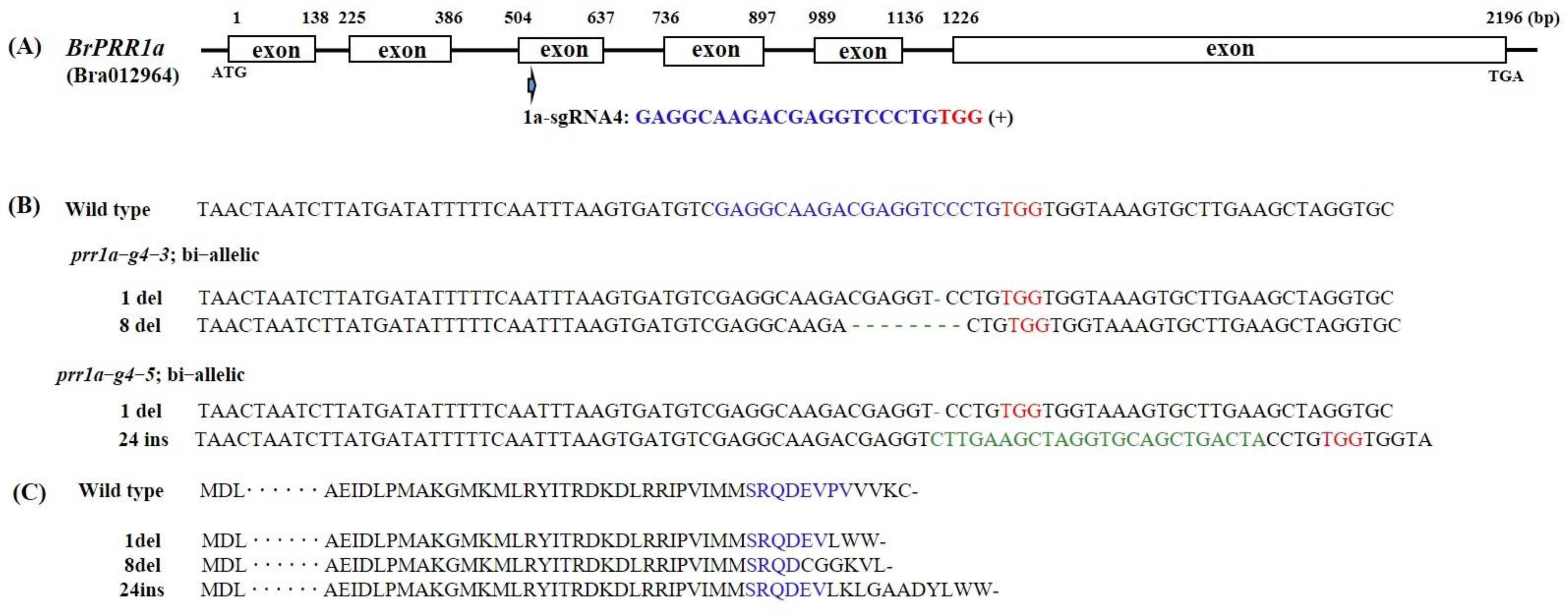 Ijms 23 06963 g002 550