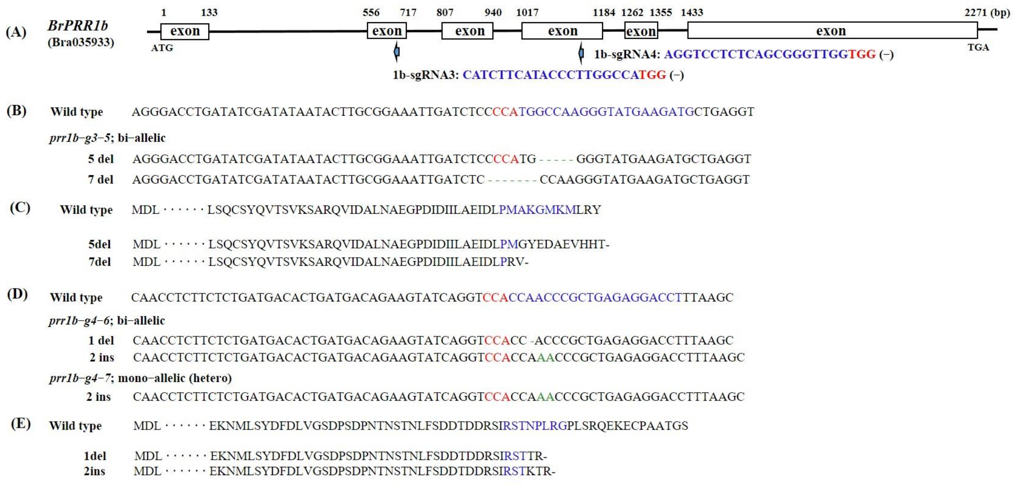Ijms 23 06963 g003 550