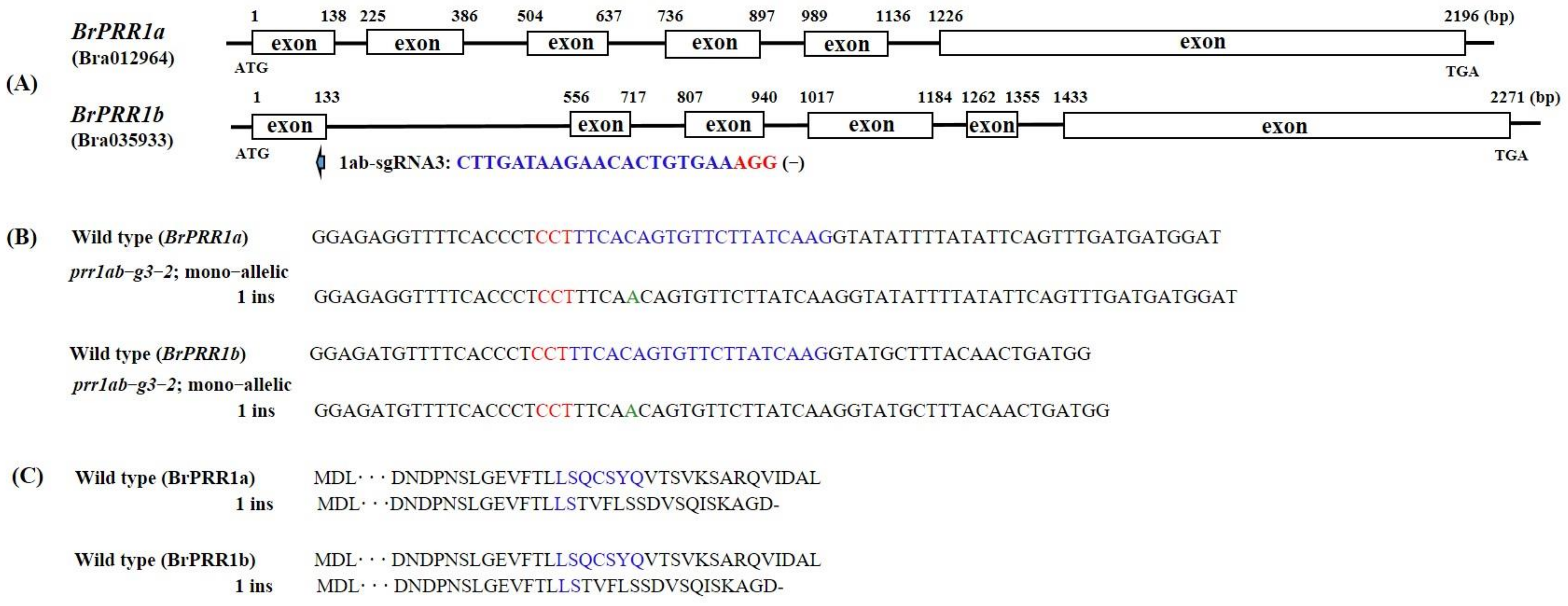 Ijms 23 06963 g004 550