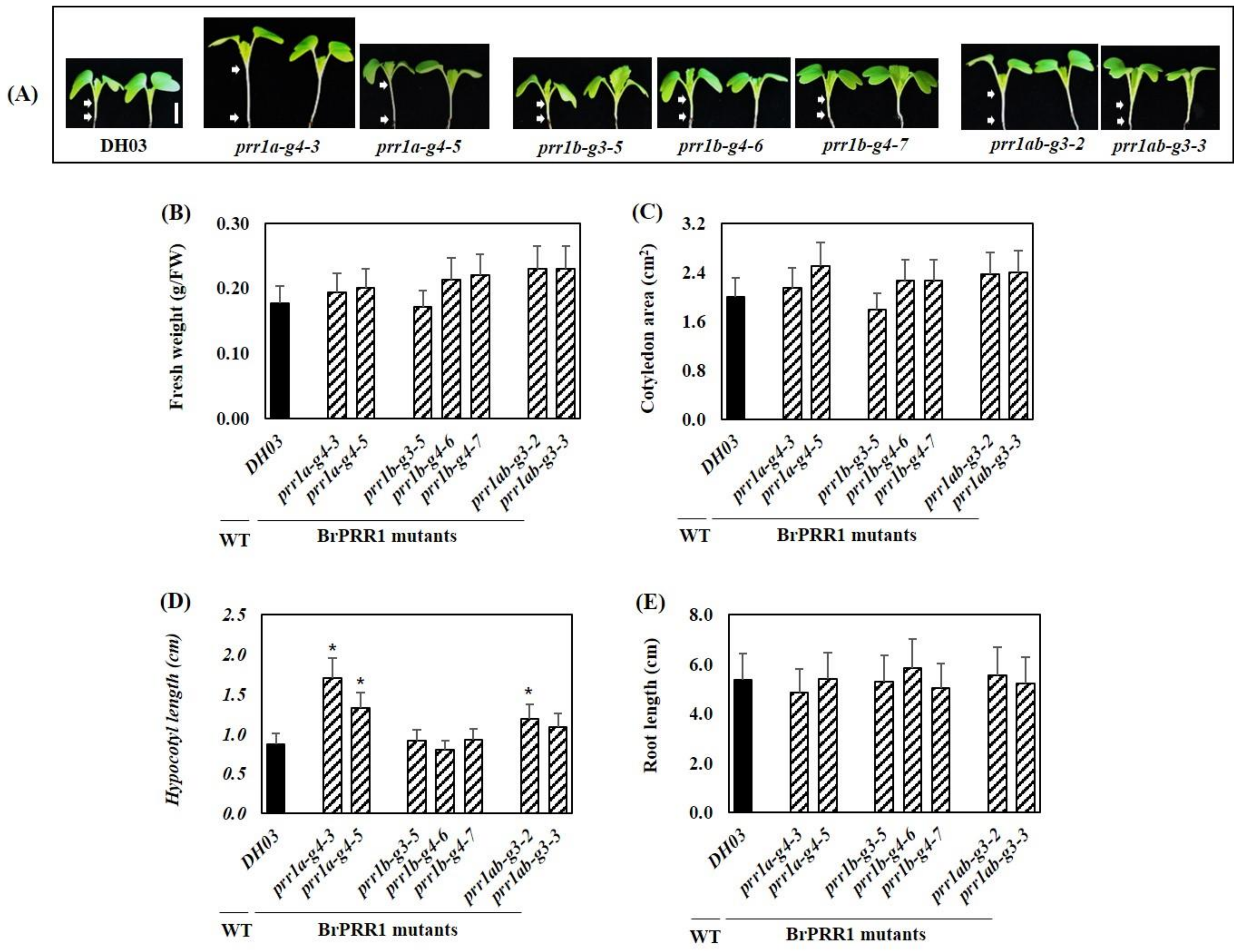 Ijms 23 06963 g005 550