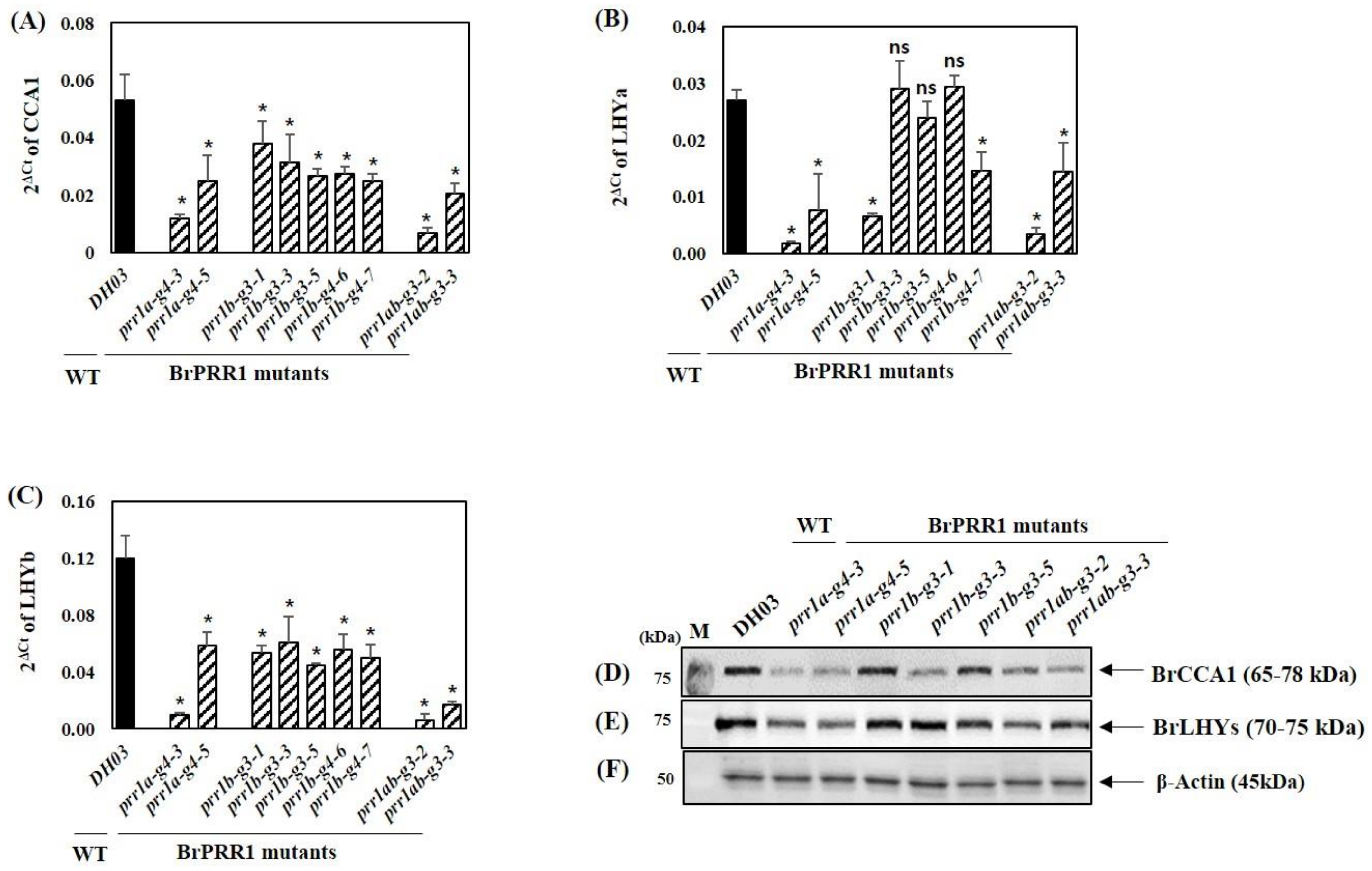 Ijms 23 06963 g006 550