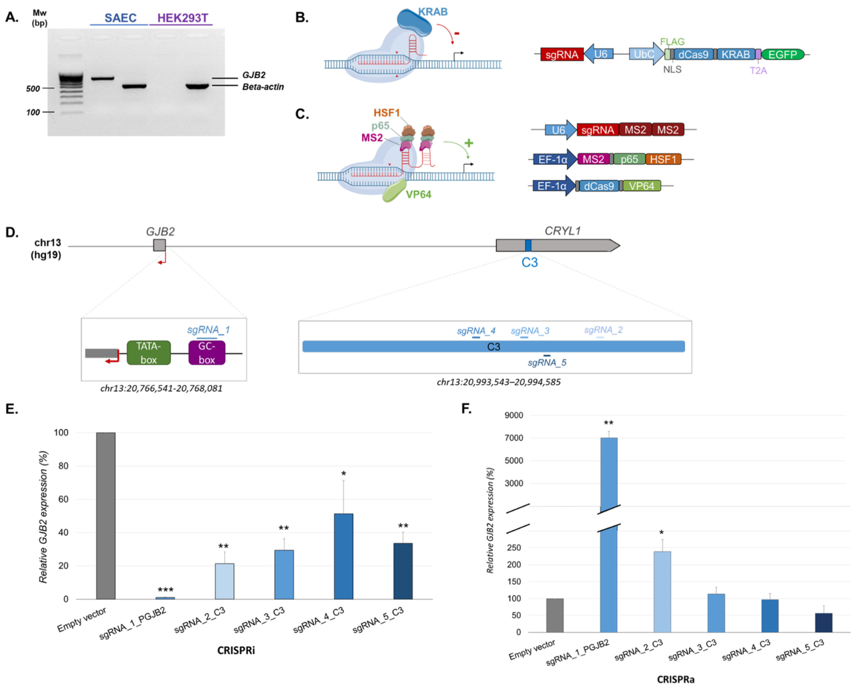 Ijms 23 06964 g001 550