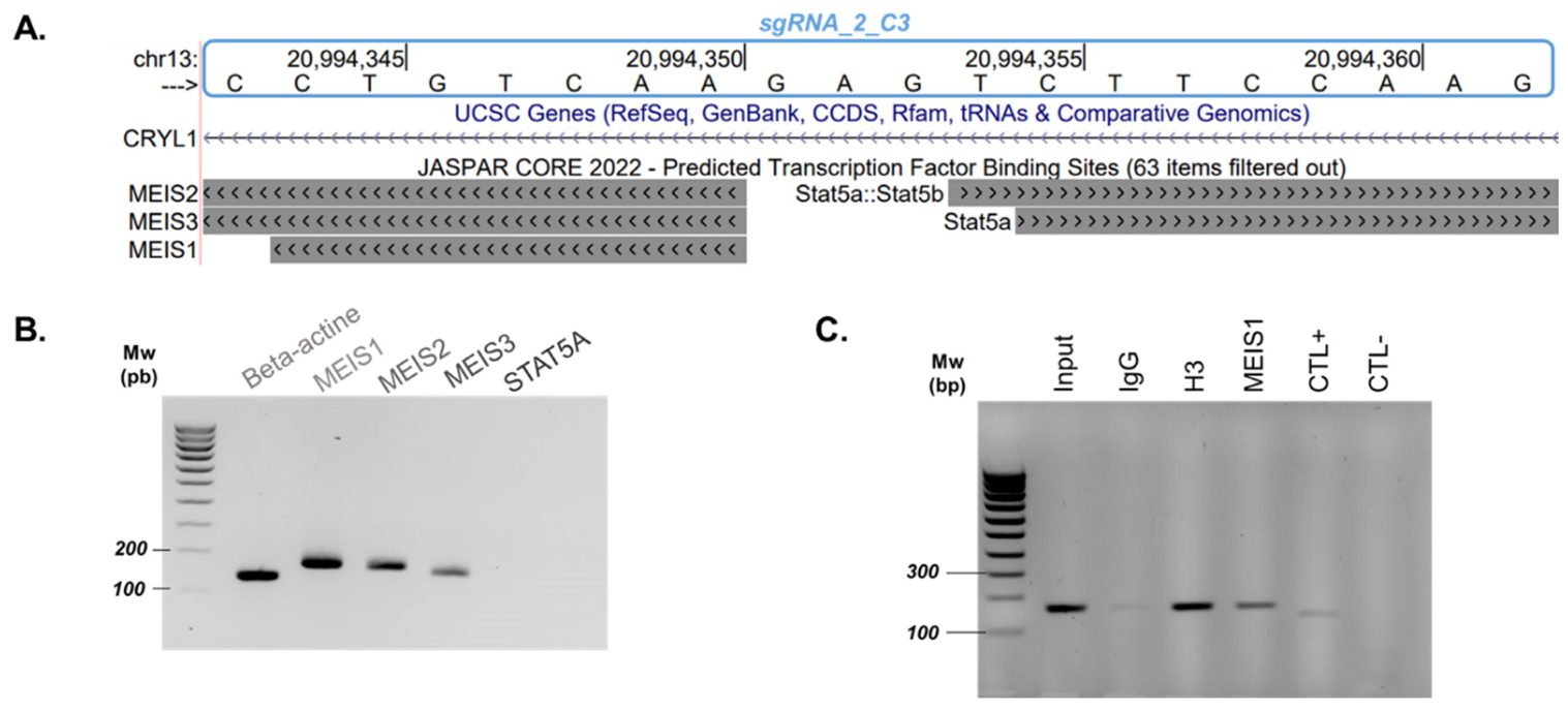 Ijms 23 06964 g002 550