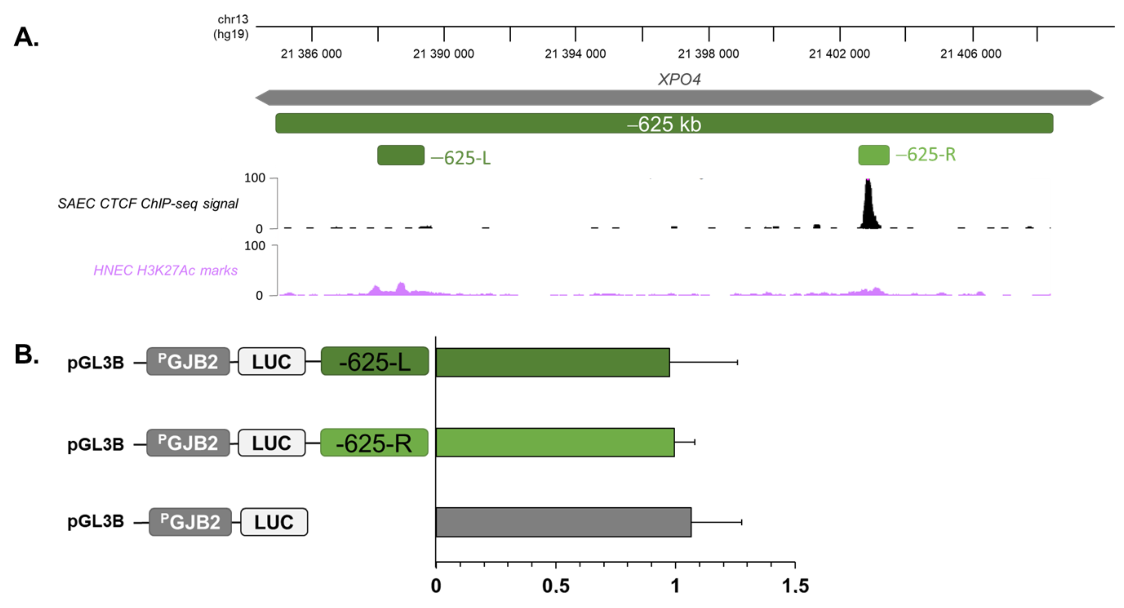 Ijms 23 06964 g004 550