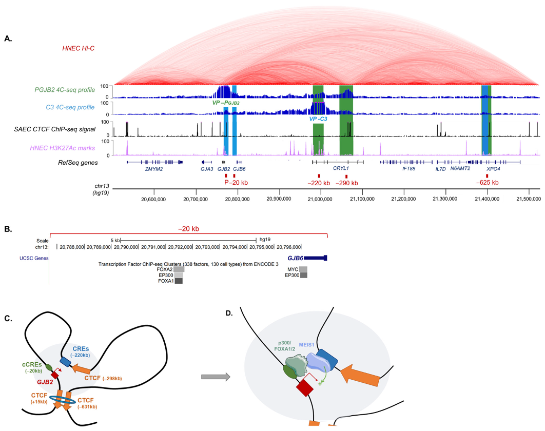 Ijms 23 06964 g005 550