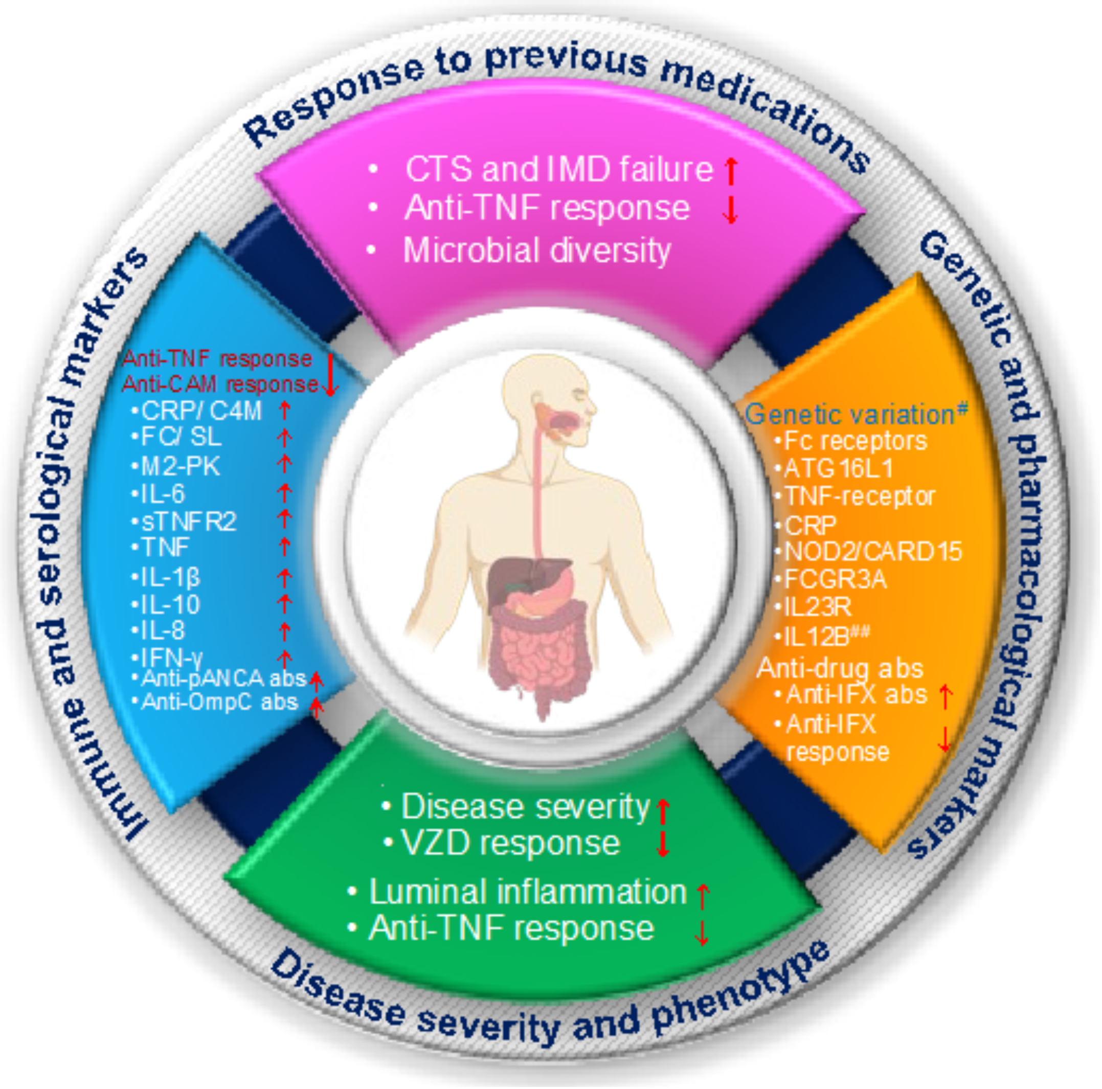 Ijms 23 06966 g003 550