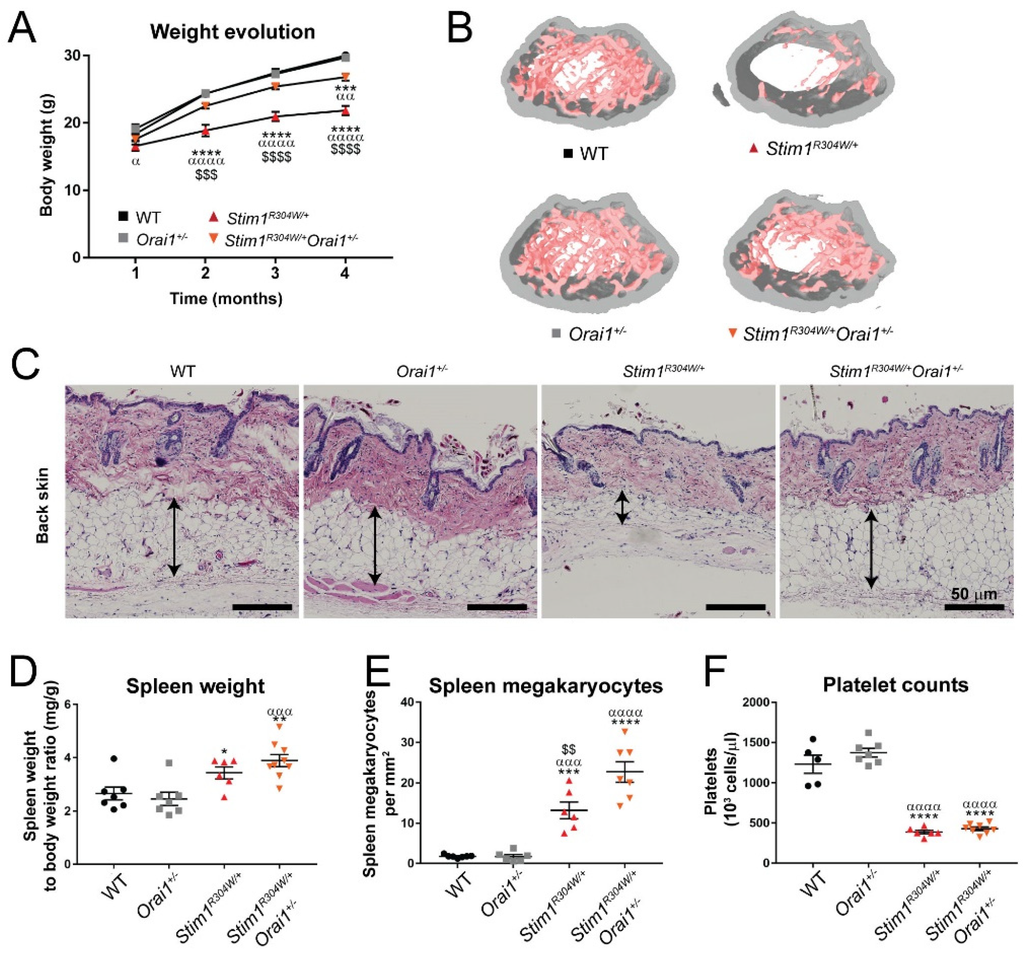 Ijms 23 06968 g001 Ijms 23 06968 g001