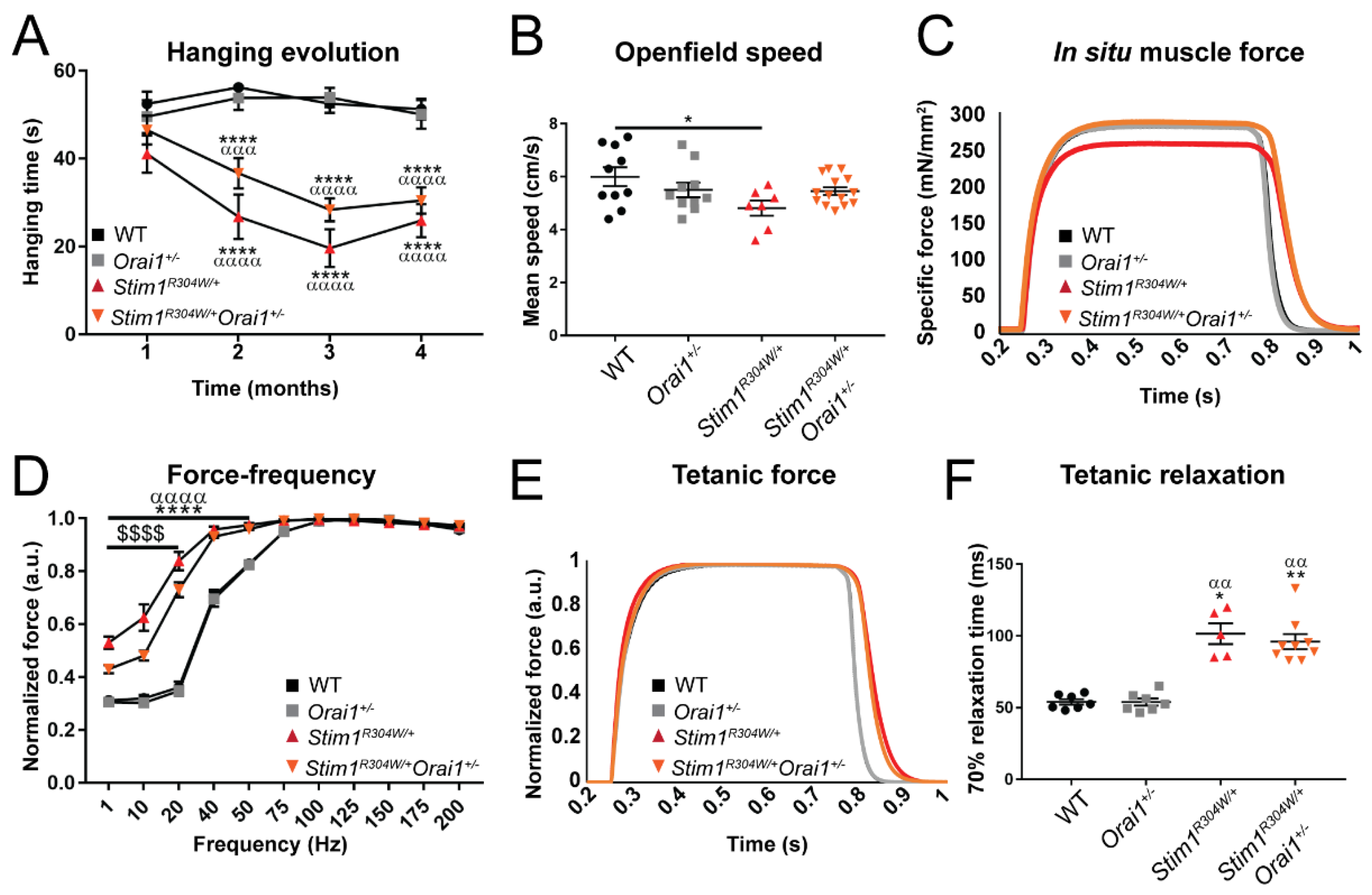 Ijms 23 06968 g002 Ijms 23 06968 g002