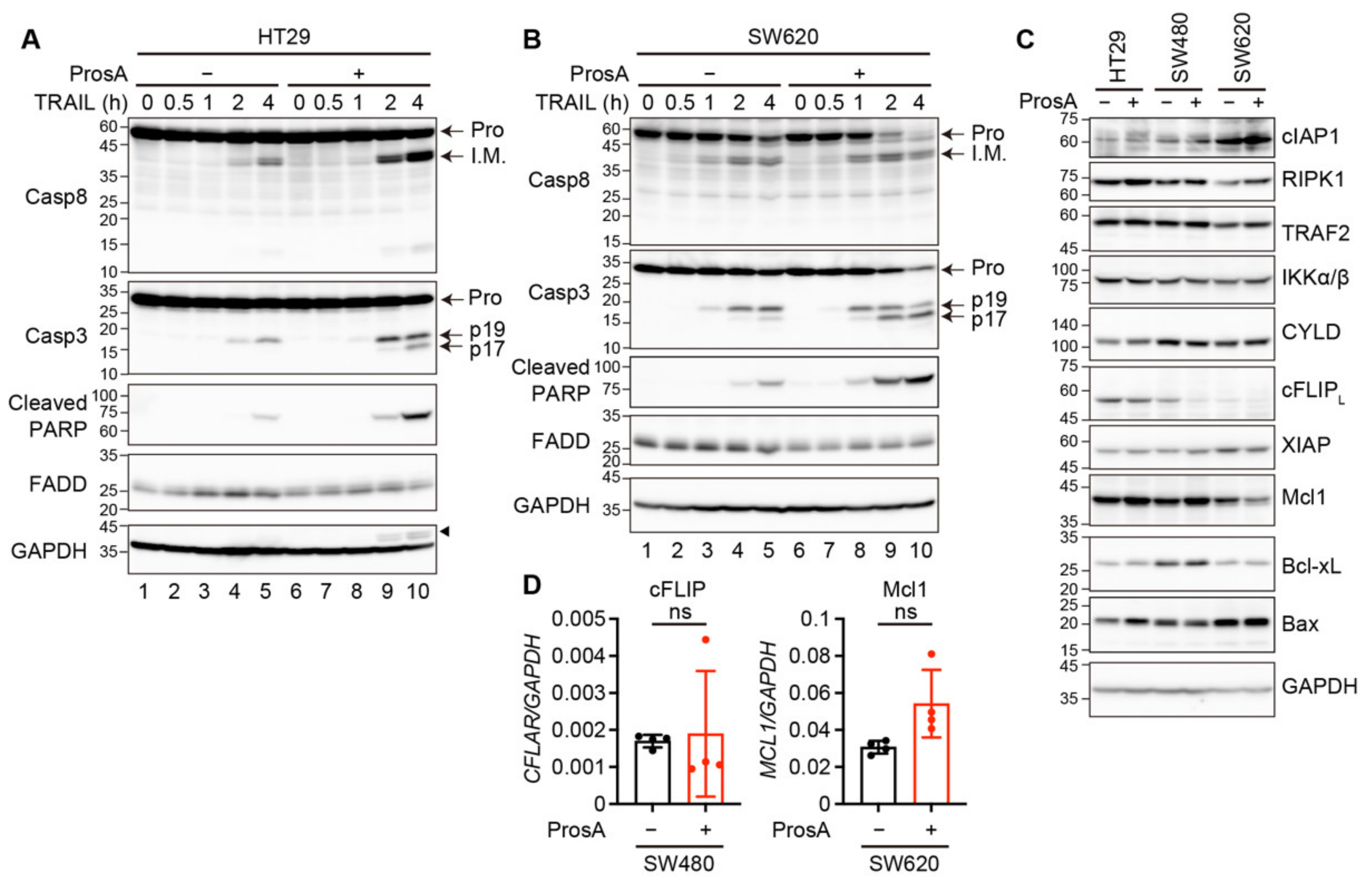 Ijms 23 06973 g004 Ijms 23 06973 g004