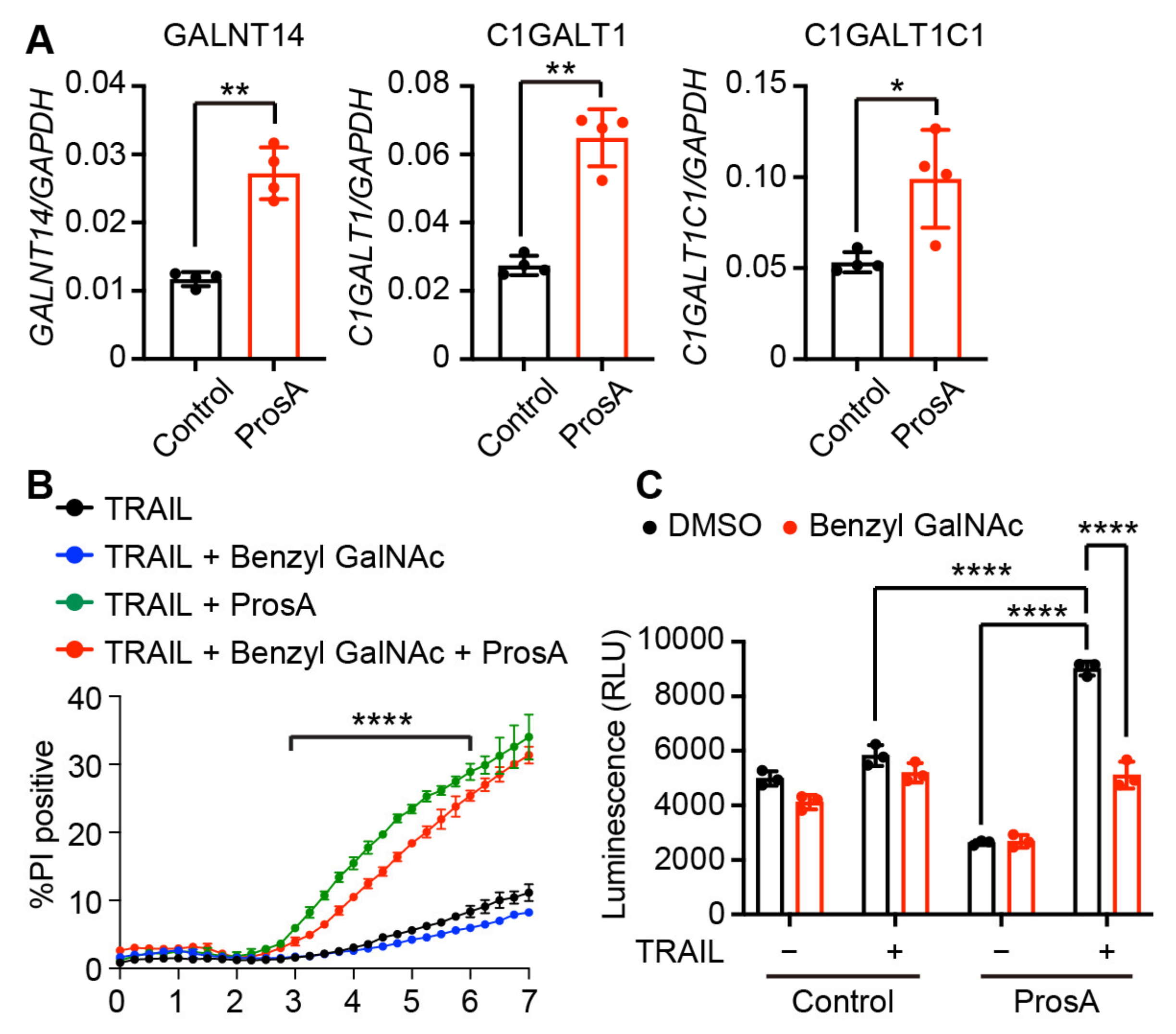 Ijms 23 06973 g005 Ijms 23 06973 g005