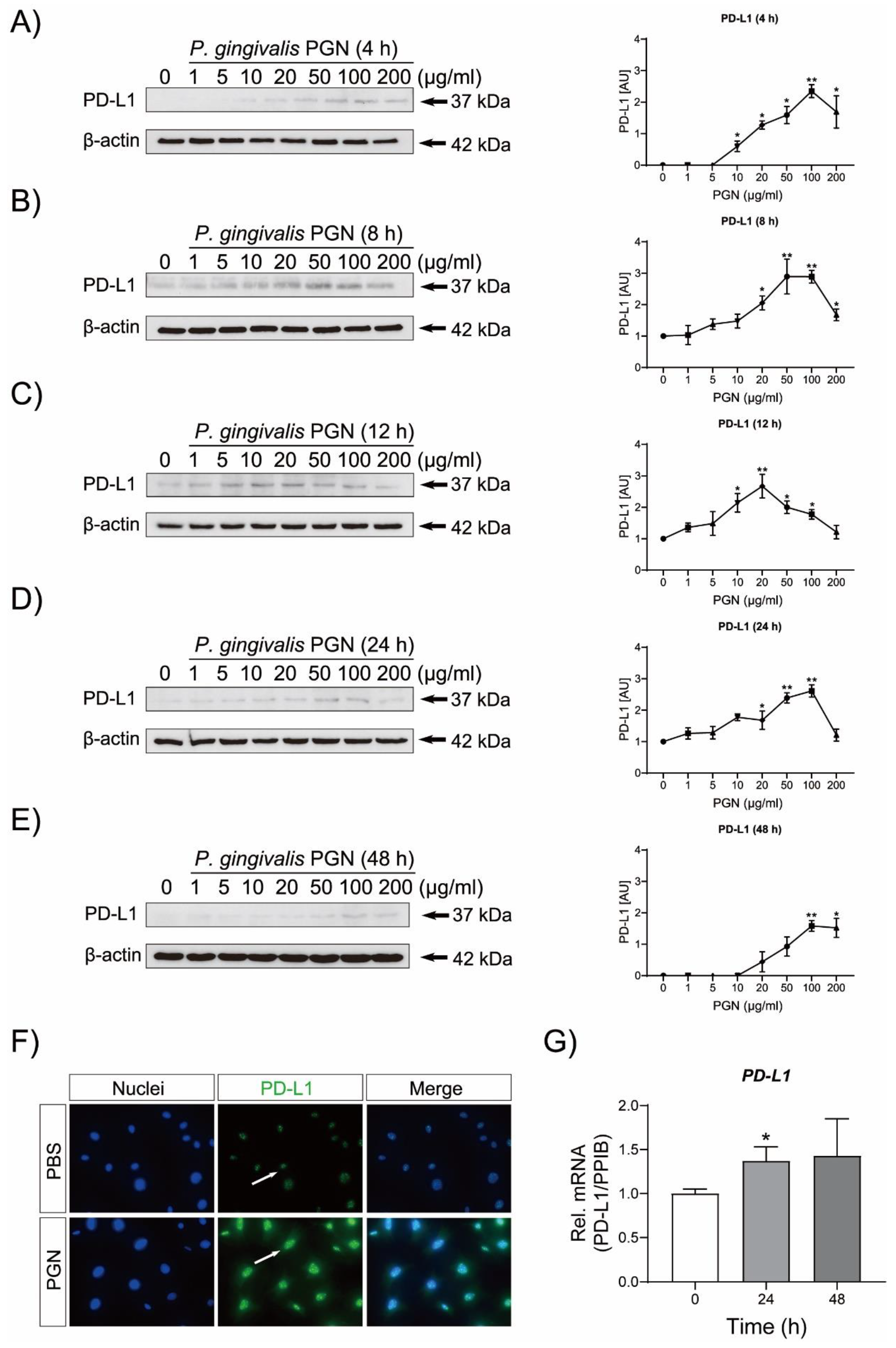 Ijms 23 06977 g001 550