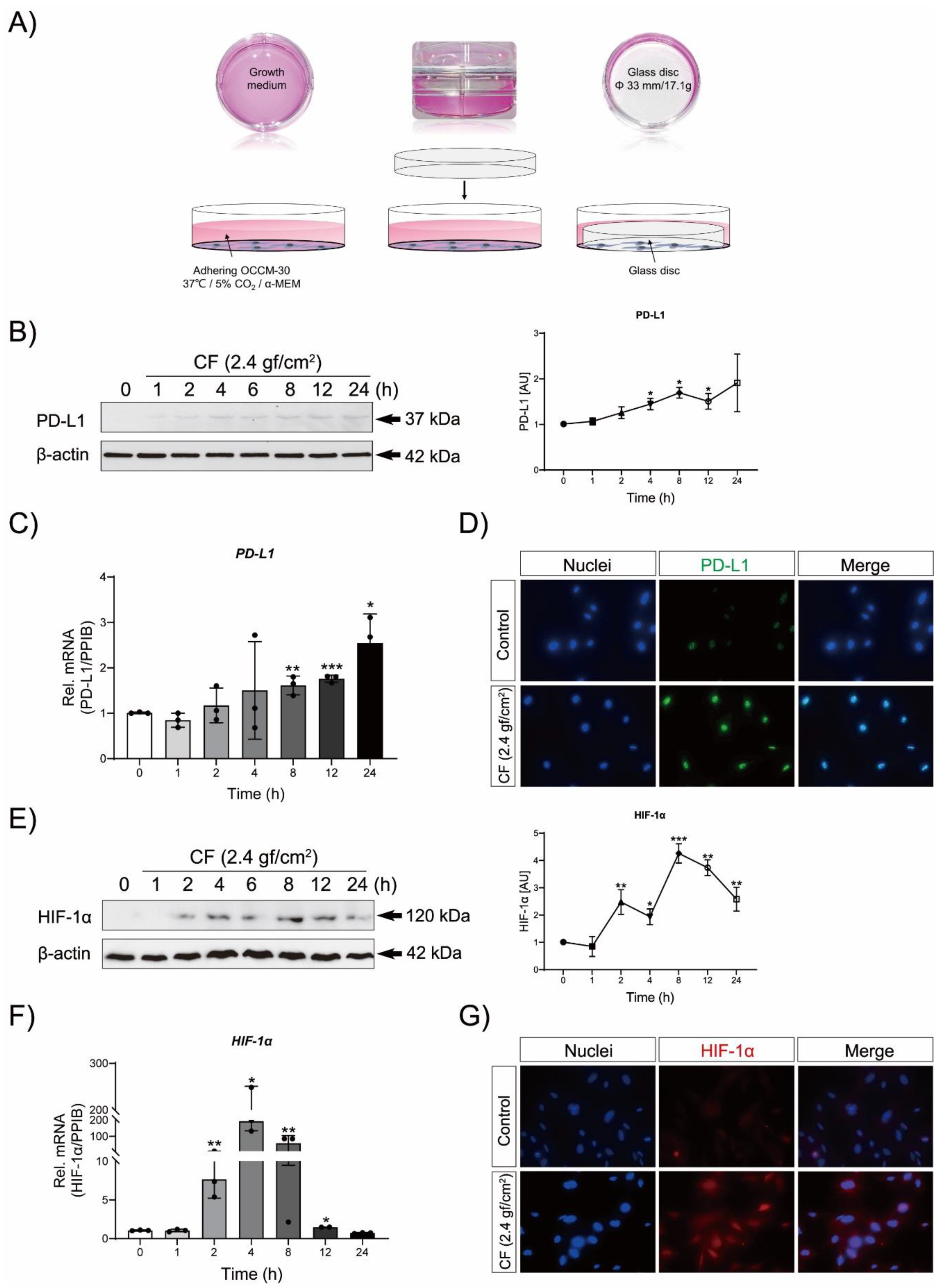 Ijms 23 06977 g002 550