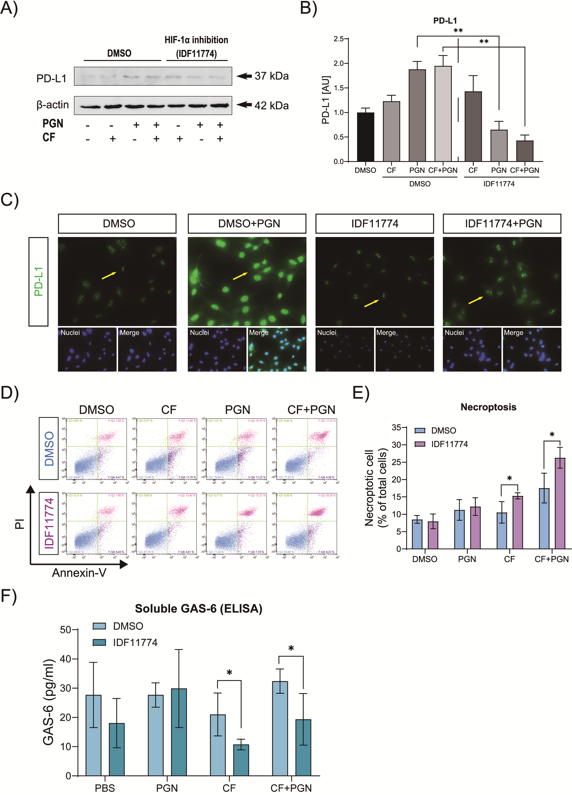 Ijms 23 06977 g004 550