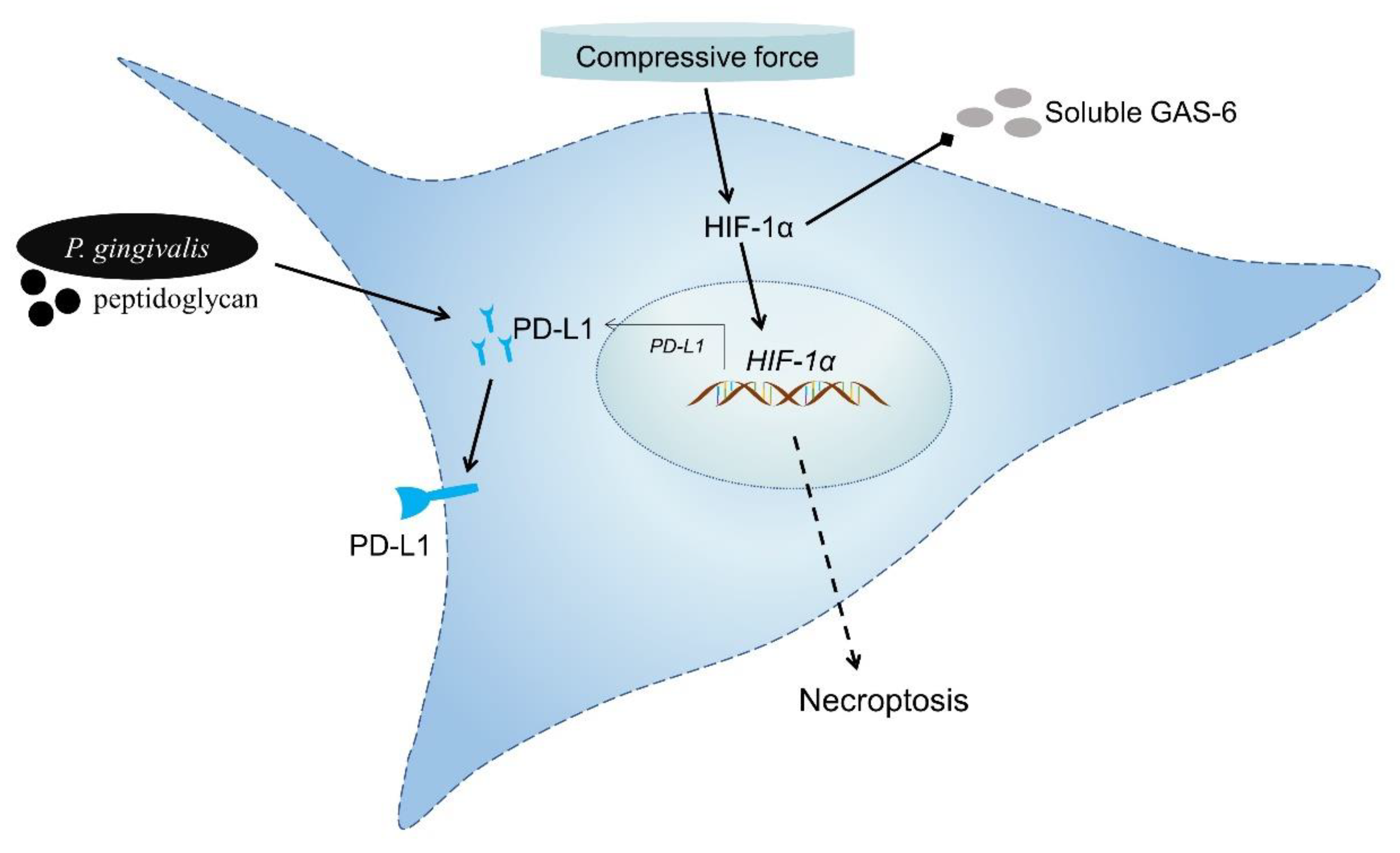 Ijms 23 06977 sch001 550