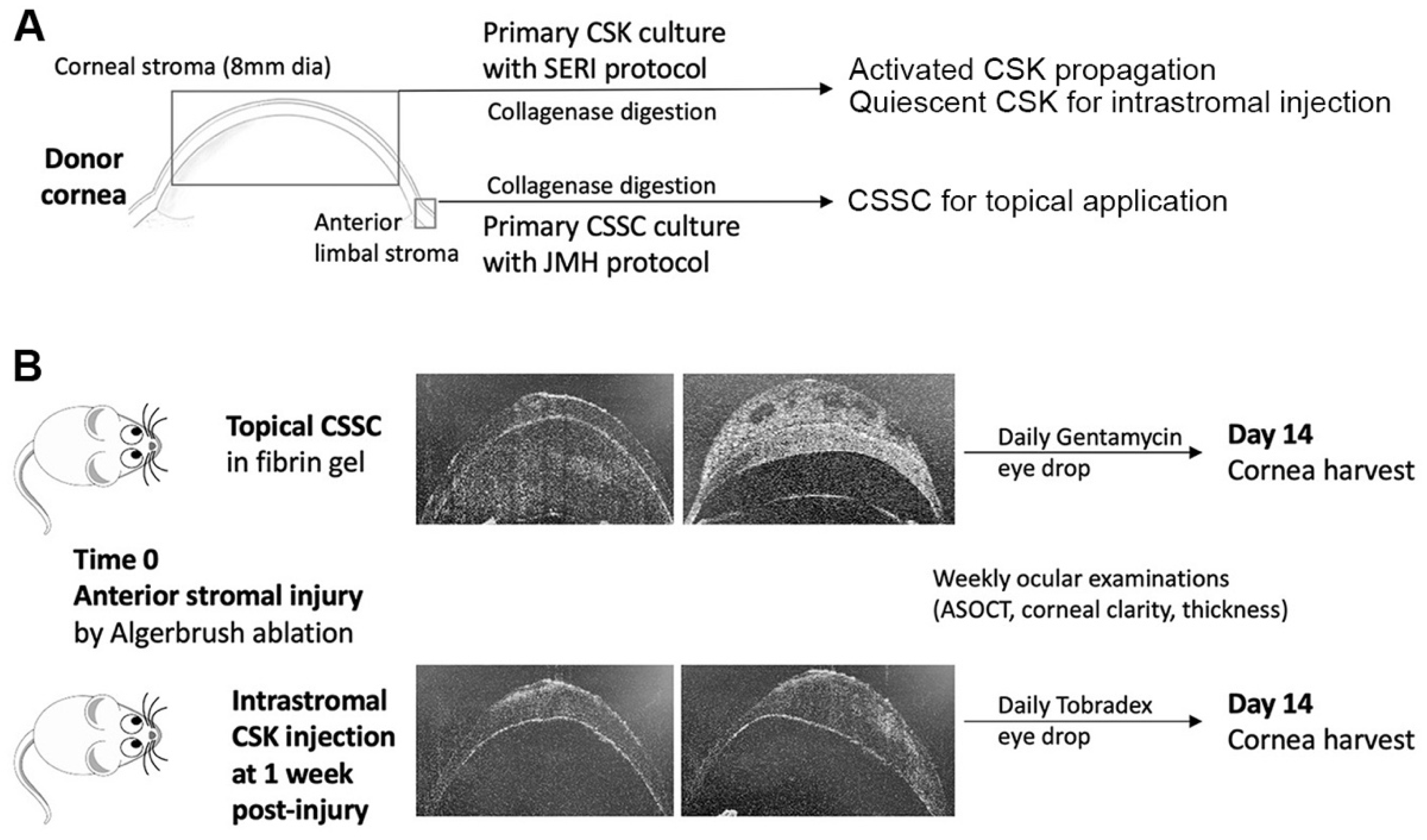 Ijms 23 06980 g001 550